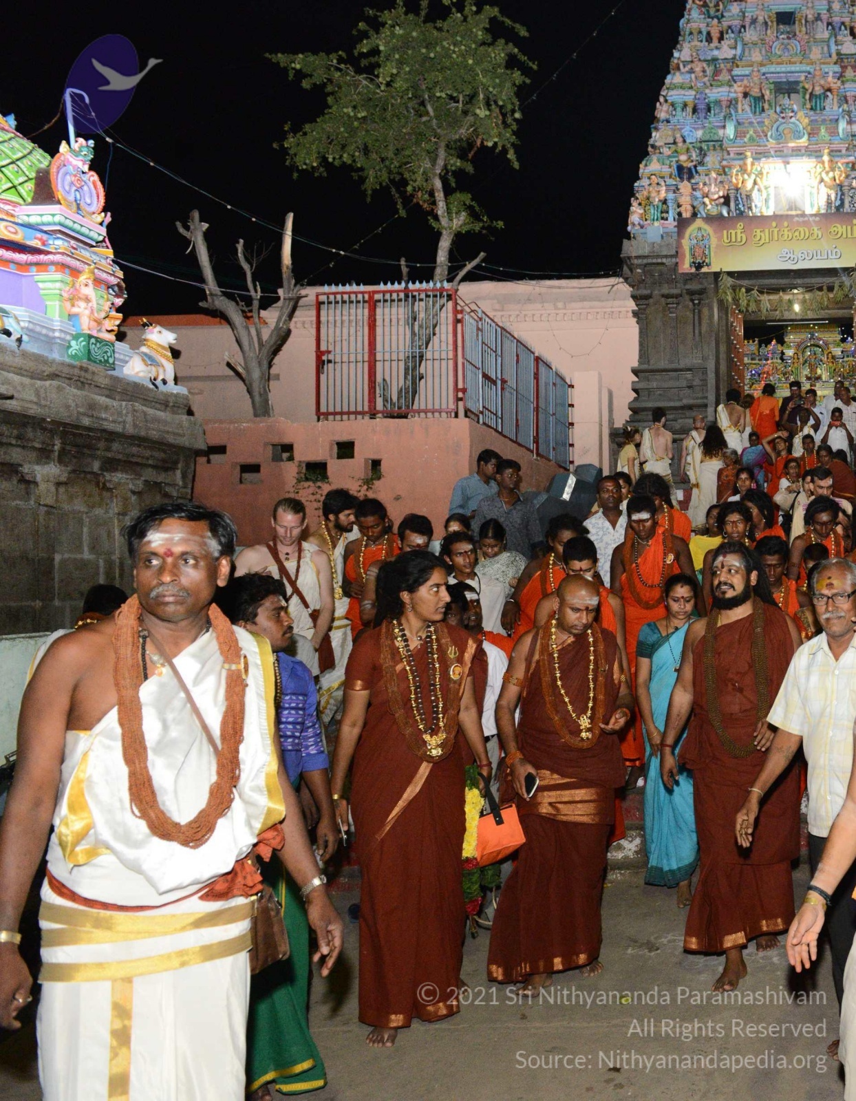 20170207_Photo_1015_DSC_1031_CMP_WM done