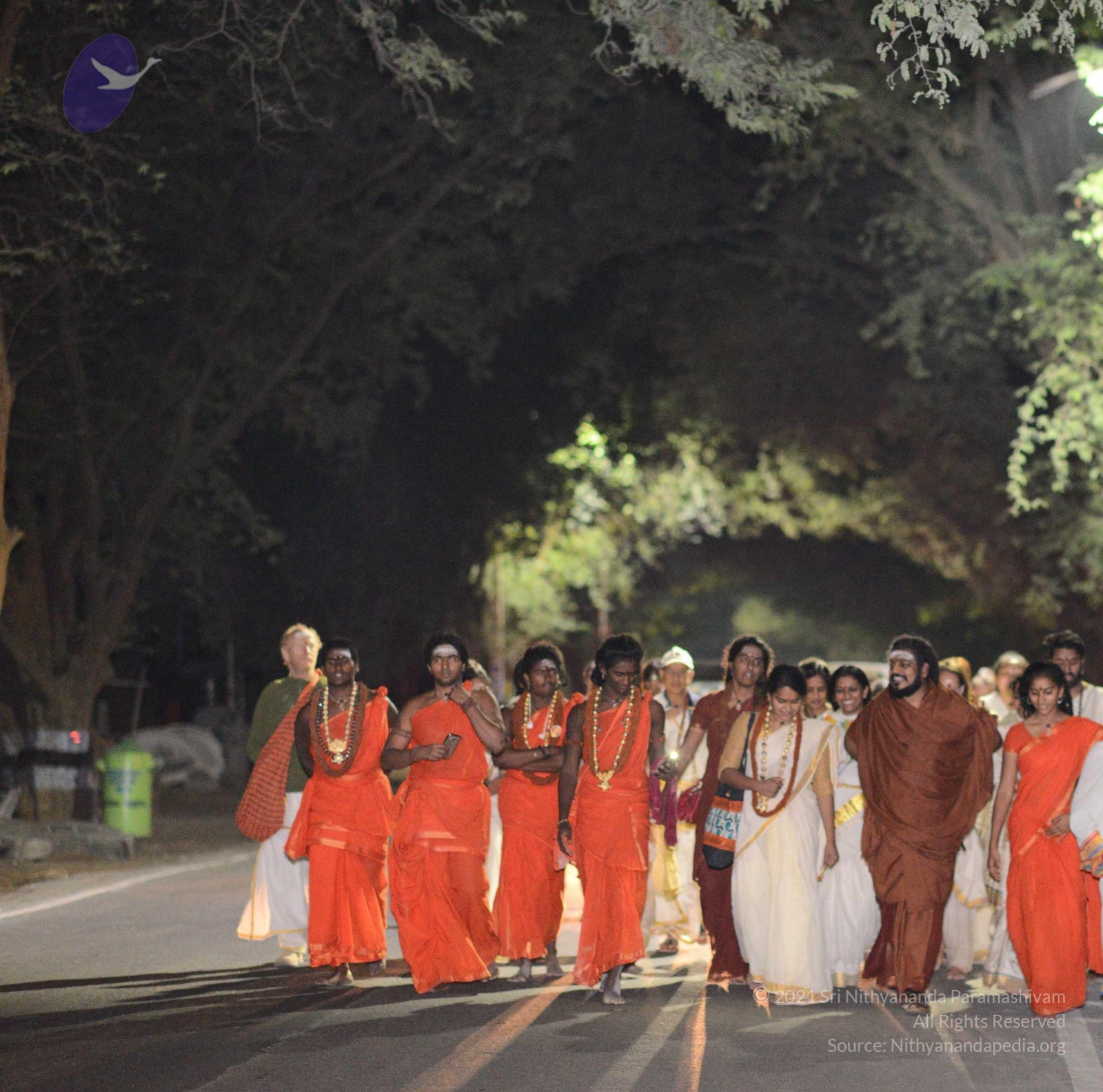 20170207_Photo_1021_DSC_0648_CMP_WM done