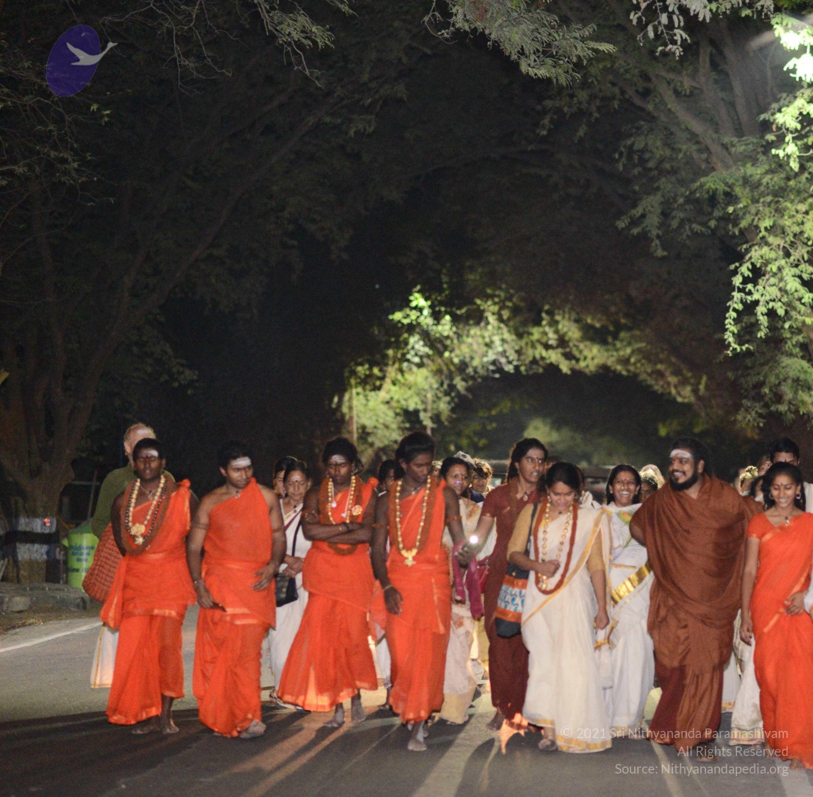 20170207_Photo_1028_DSC_0649_CMP_WM done