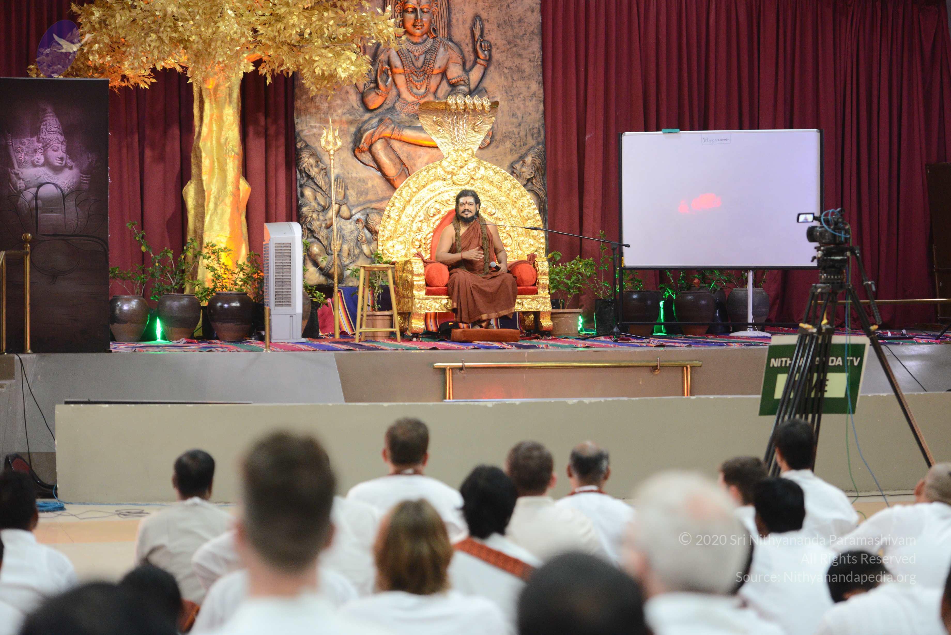 20170228_Photo_1001_DSC_1021_CMP_WM