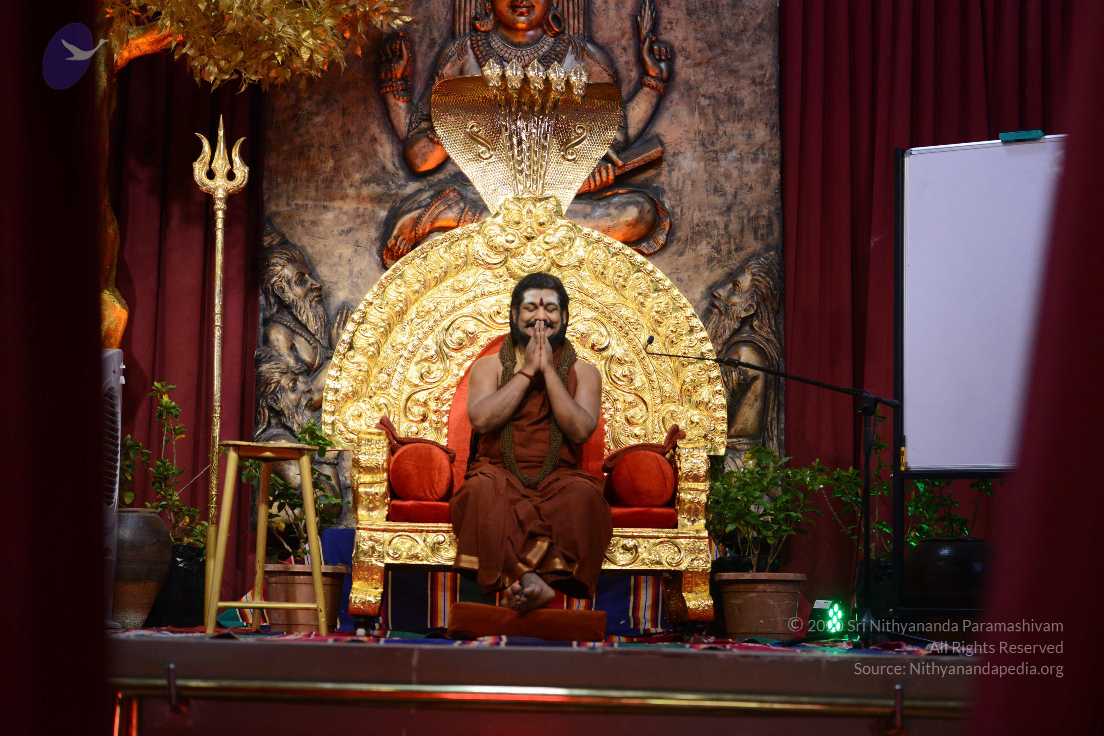 20170228_Photo_1016_DSC_0986_CMP_WM