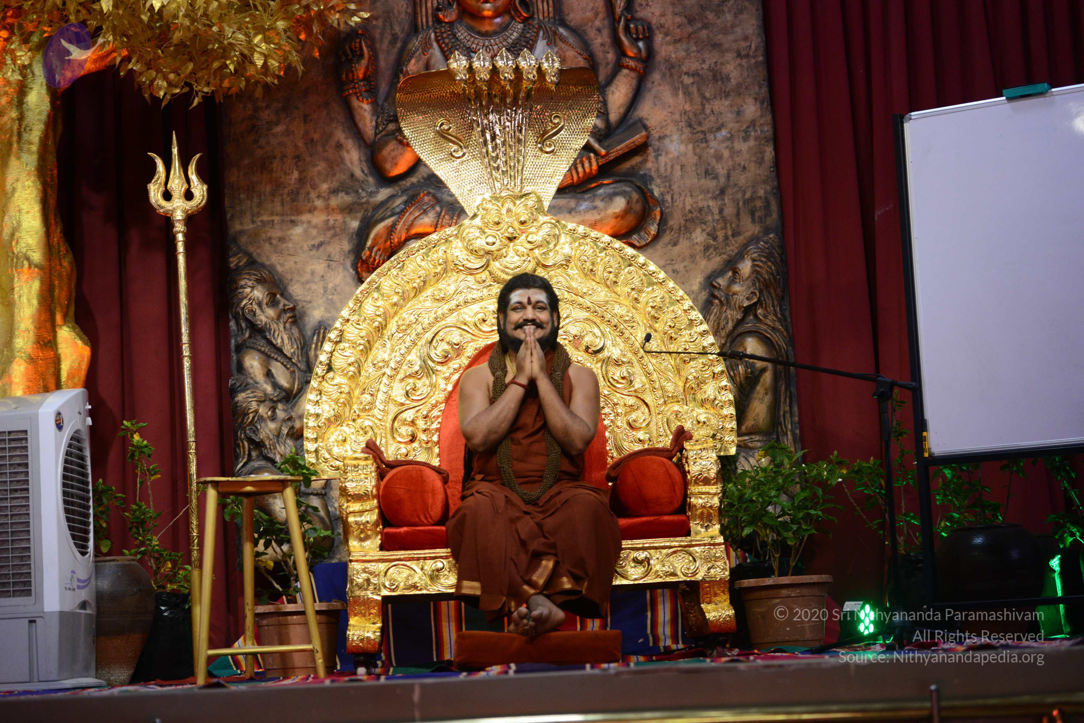 20170228_Photo_1035_DSC_0993_CMP_WM