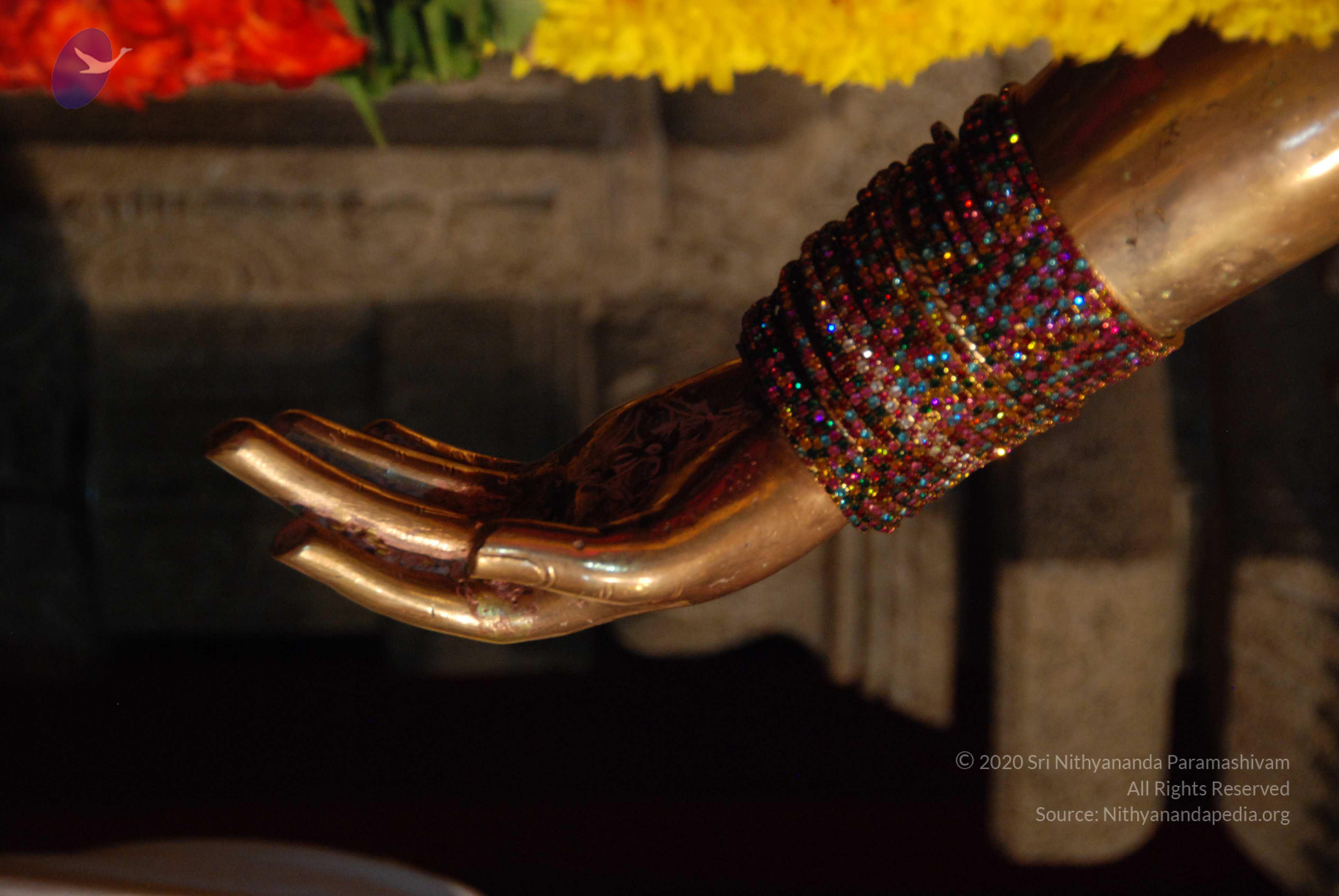 20170720_Photo_1001_DSC_4709_CMP_WM