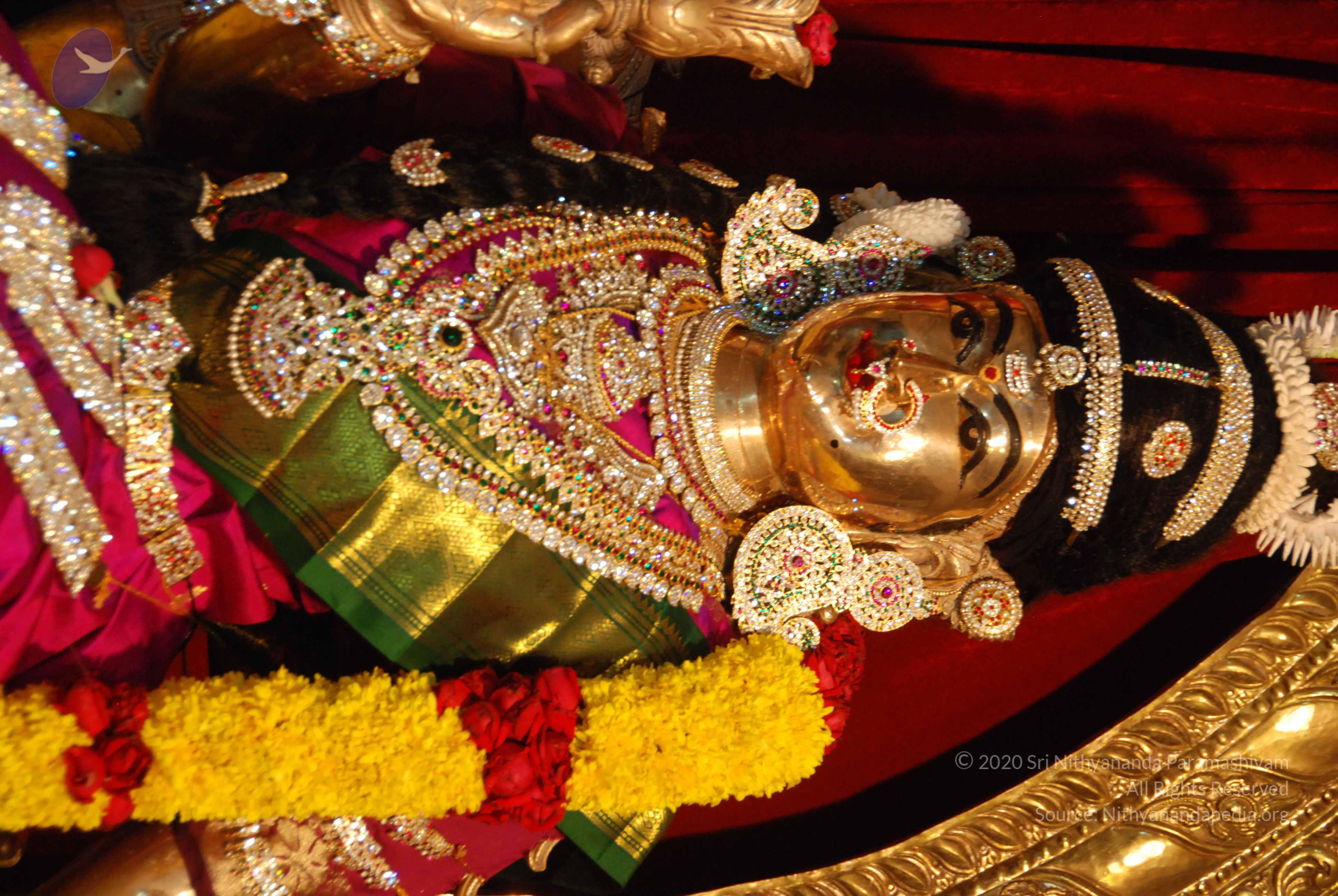 20170720_Photo_1002_DSC_4648_CMP_WM