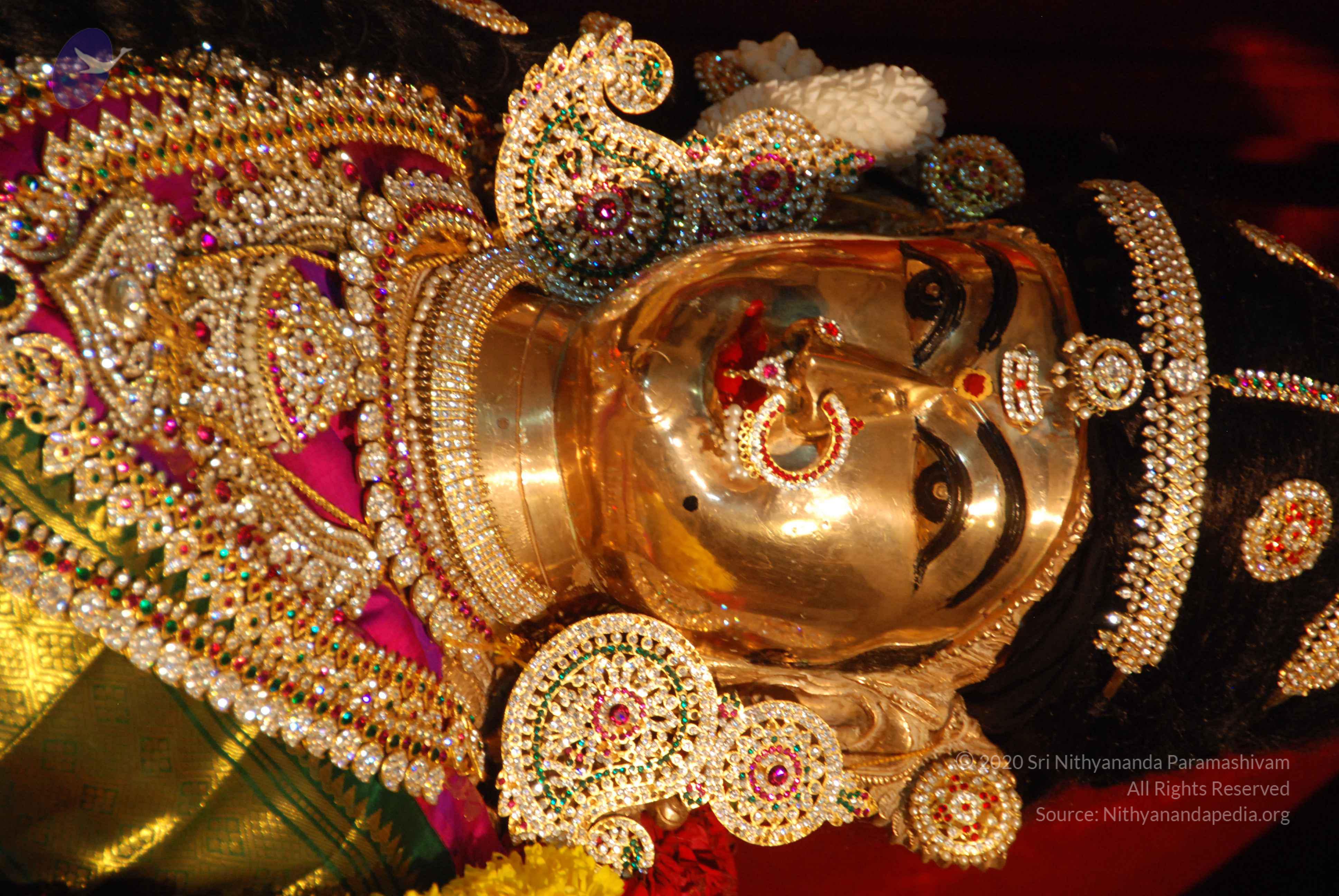 20170720_Photo_1004_DSC_4654_CMP_WM