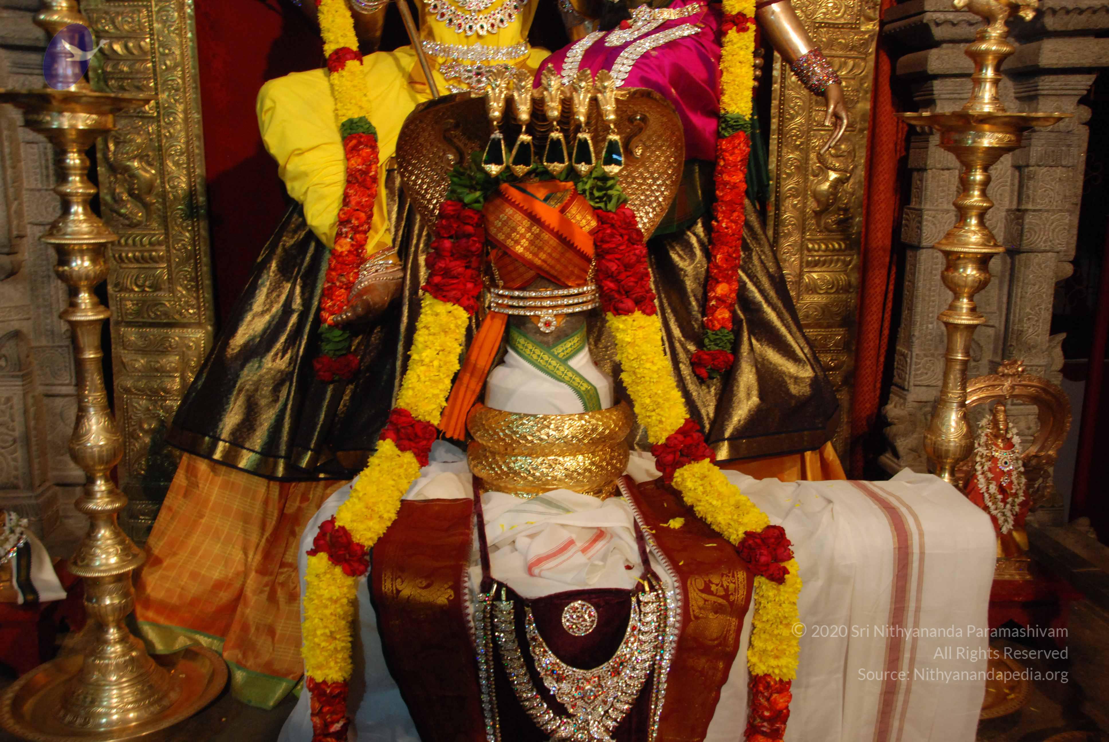 20170720_Photo_1005_DSC_4663_CMP_WM