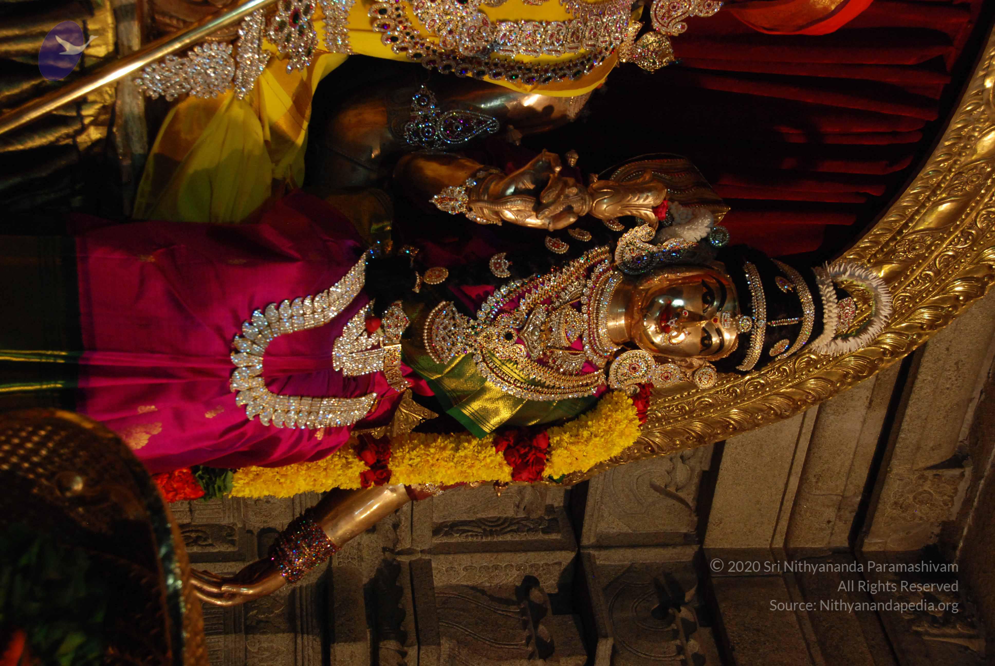 20170720_Photo_1008_DSC_4610_CMP_WM