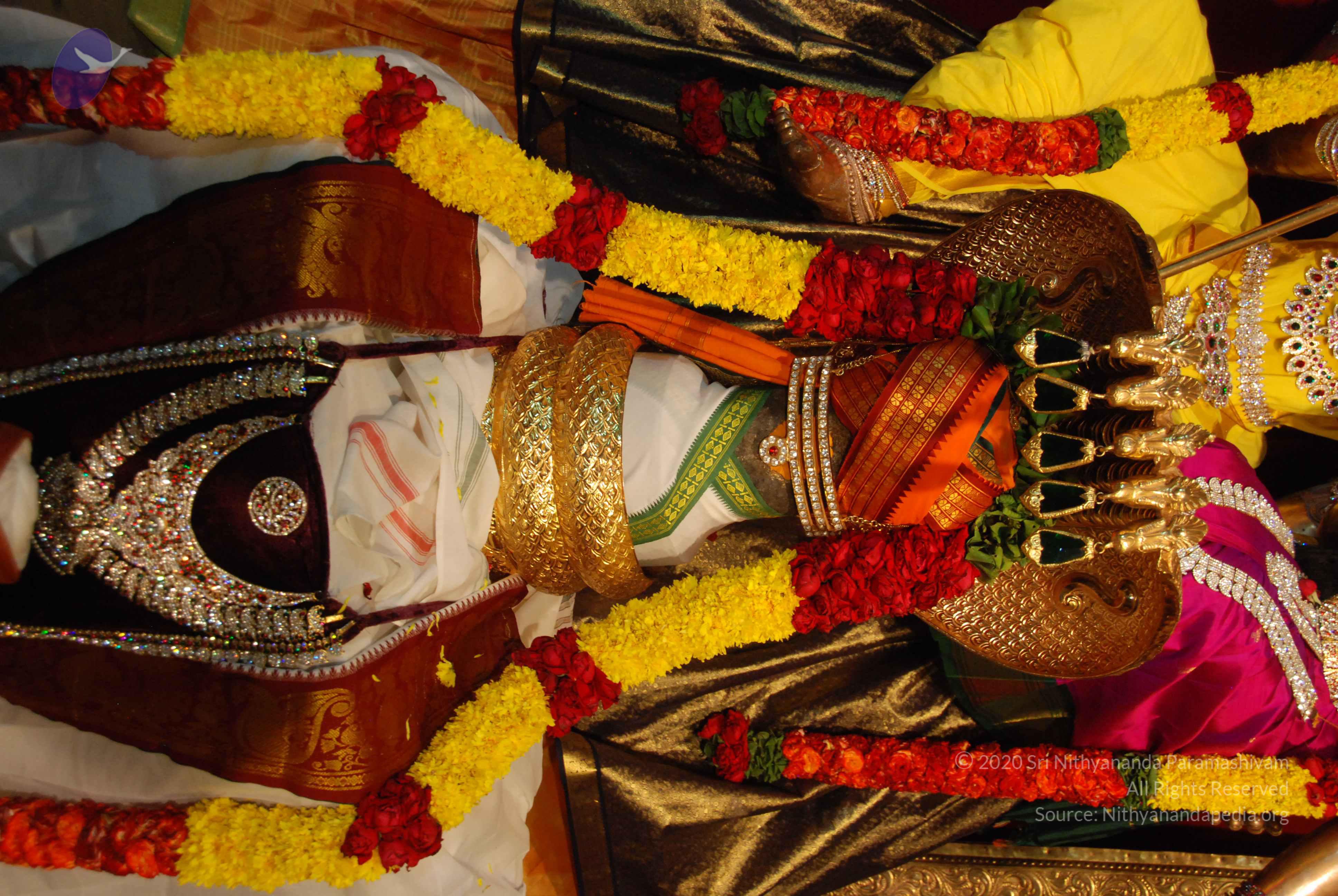 20170720_Photo_1010_DSC_4659_CMP_WM