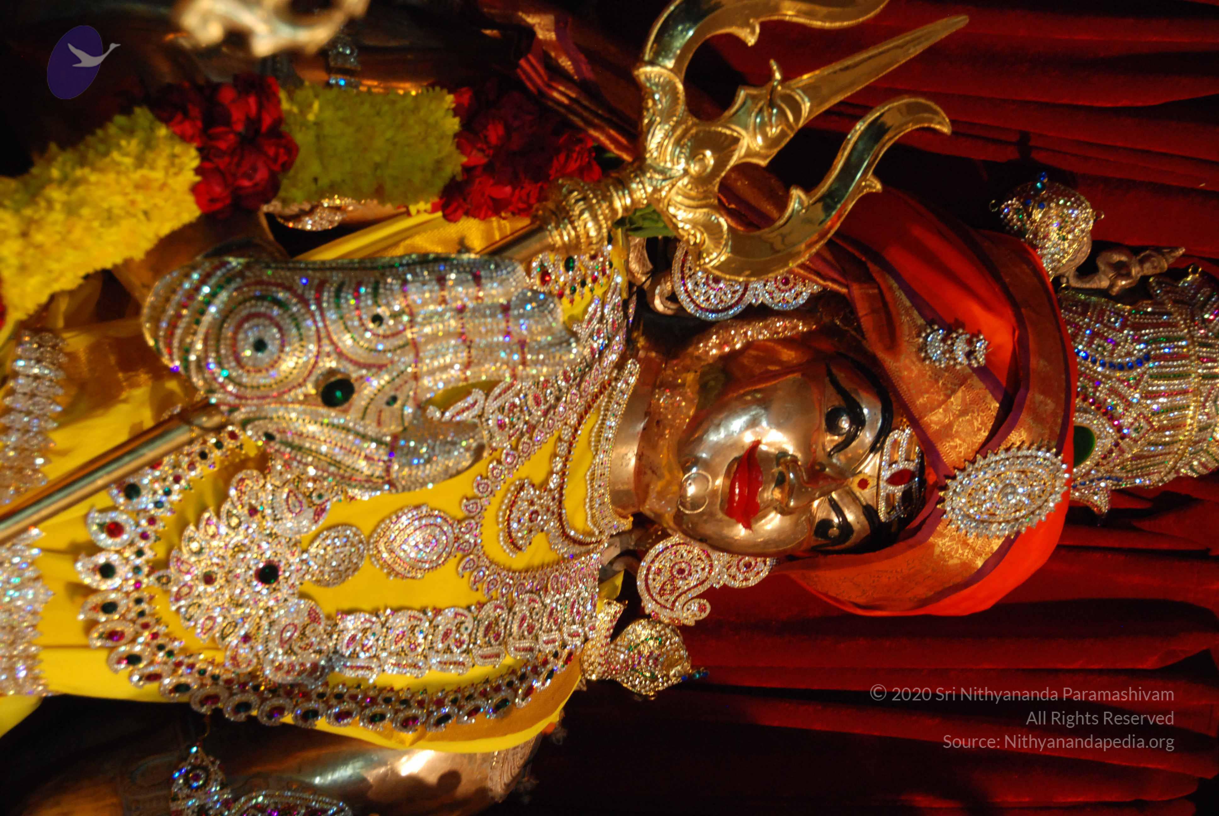 20170720_Photo_1015_DSC_4622_CMP_WM