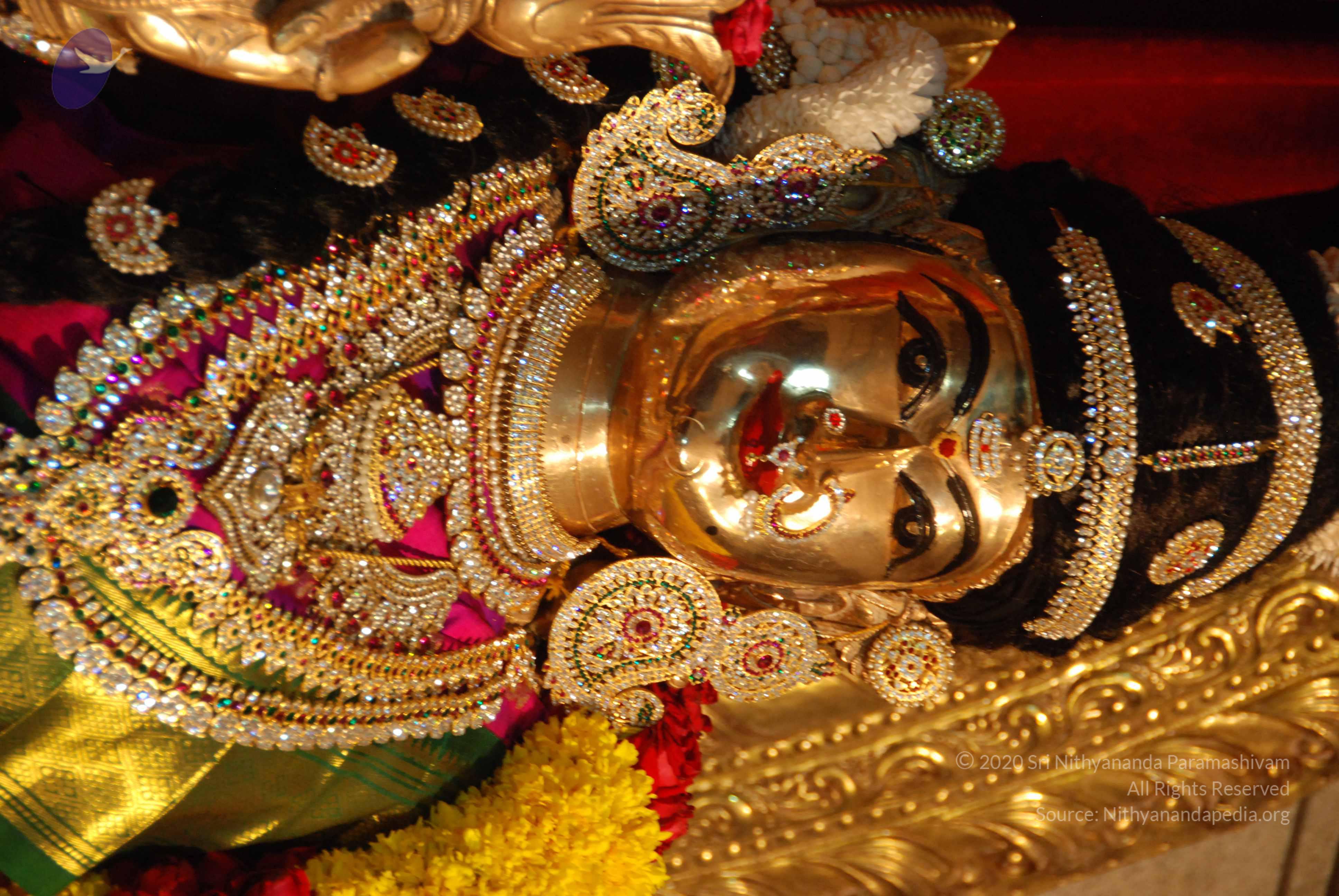 20170720_Photo_1016_DSC_4615_CMP_WM