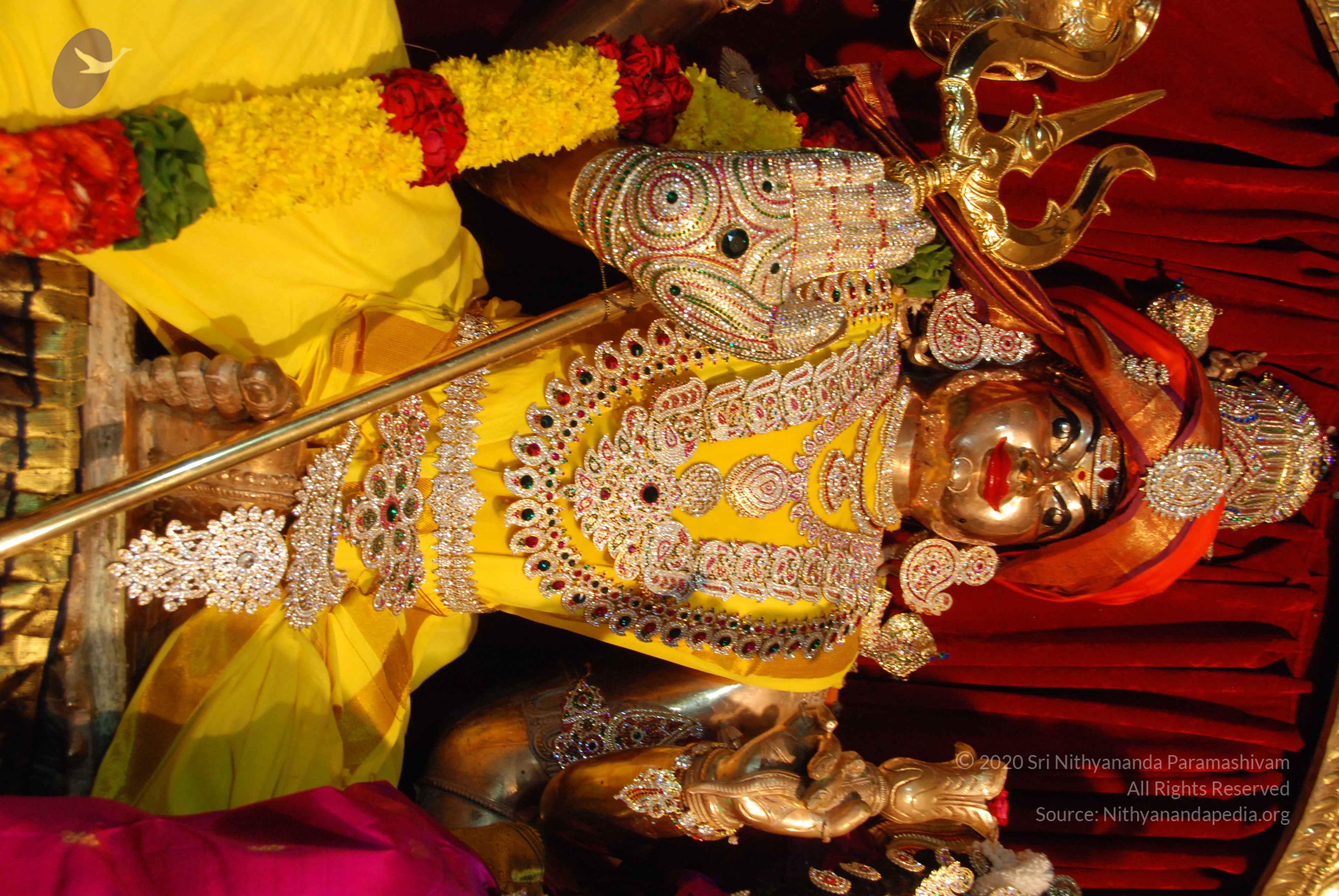 20170720_Photo_1017_DSC_4701_CMP_WM