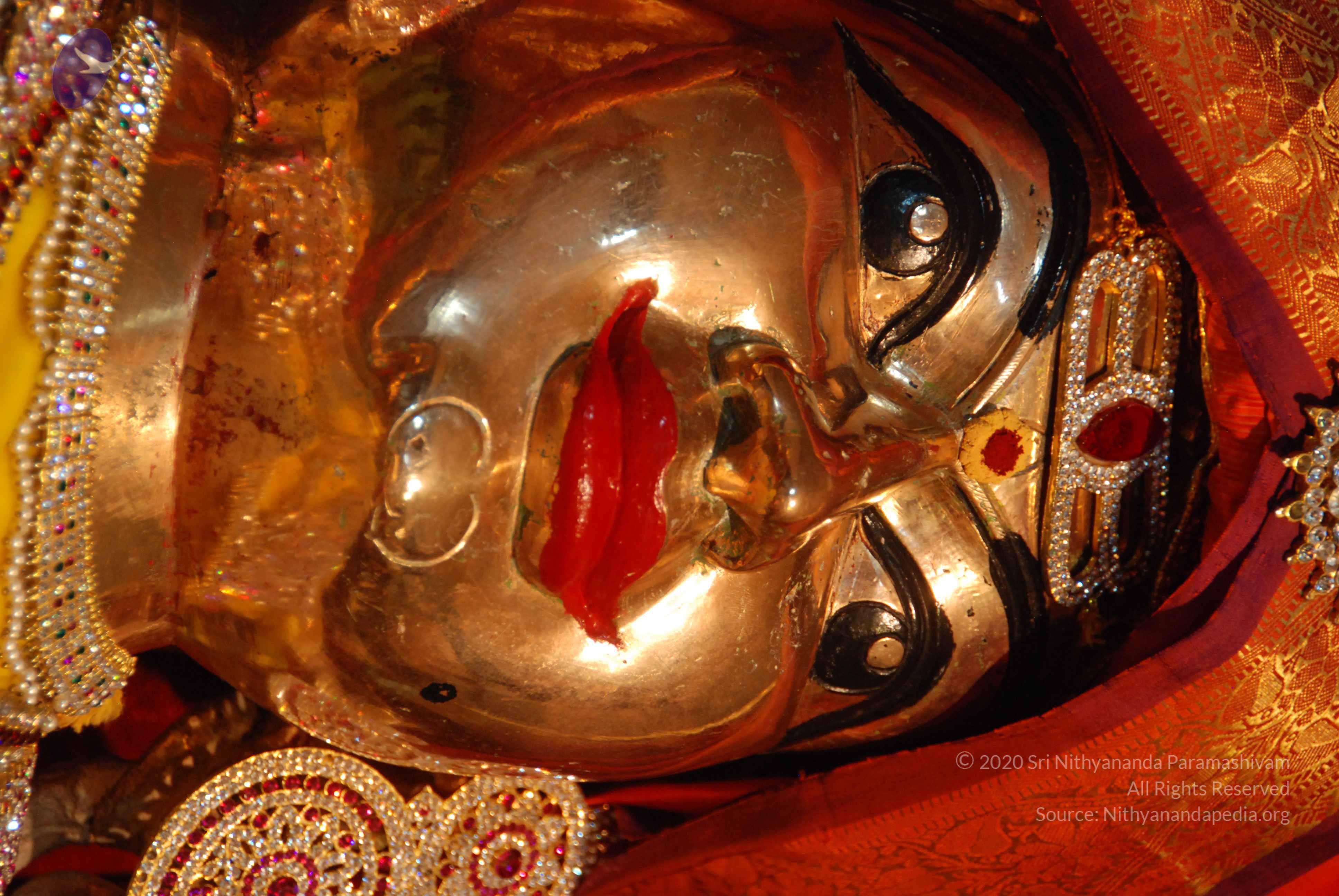 20170720_Photo_1018_DSC_4694_CMP_WM