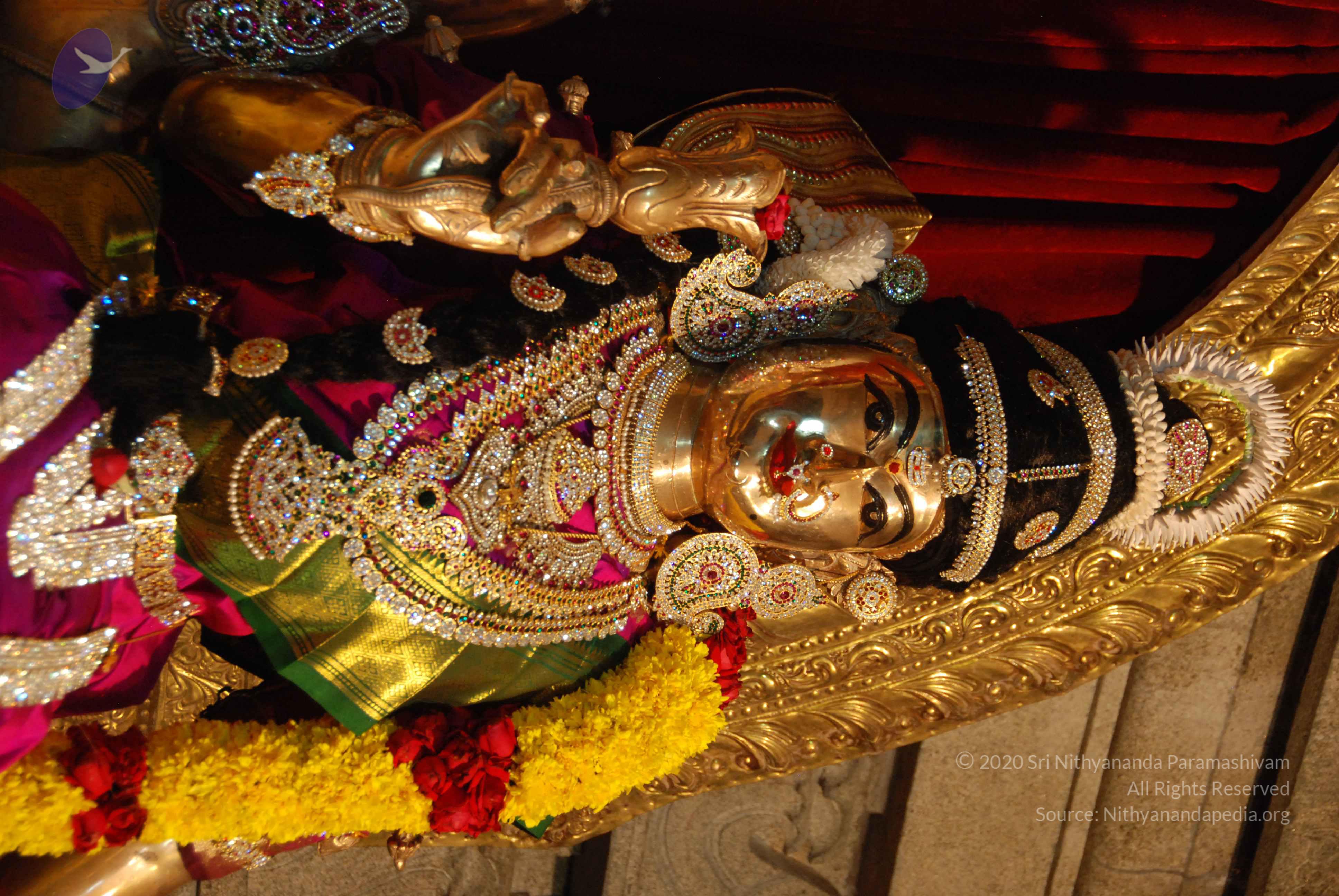 20170720_Photo_1019_DSC_4618_CMP_WM