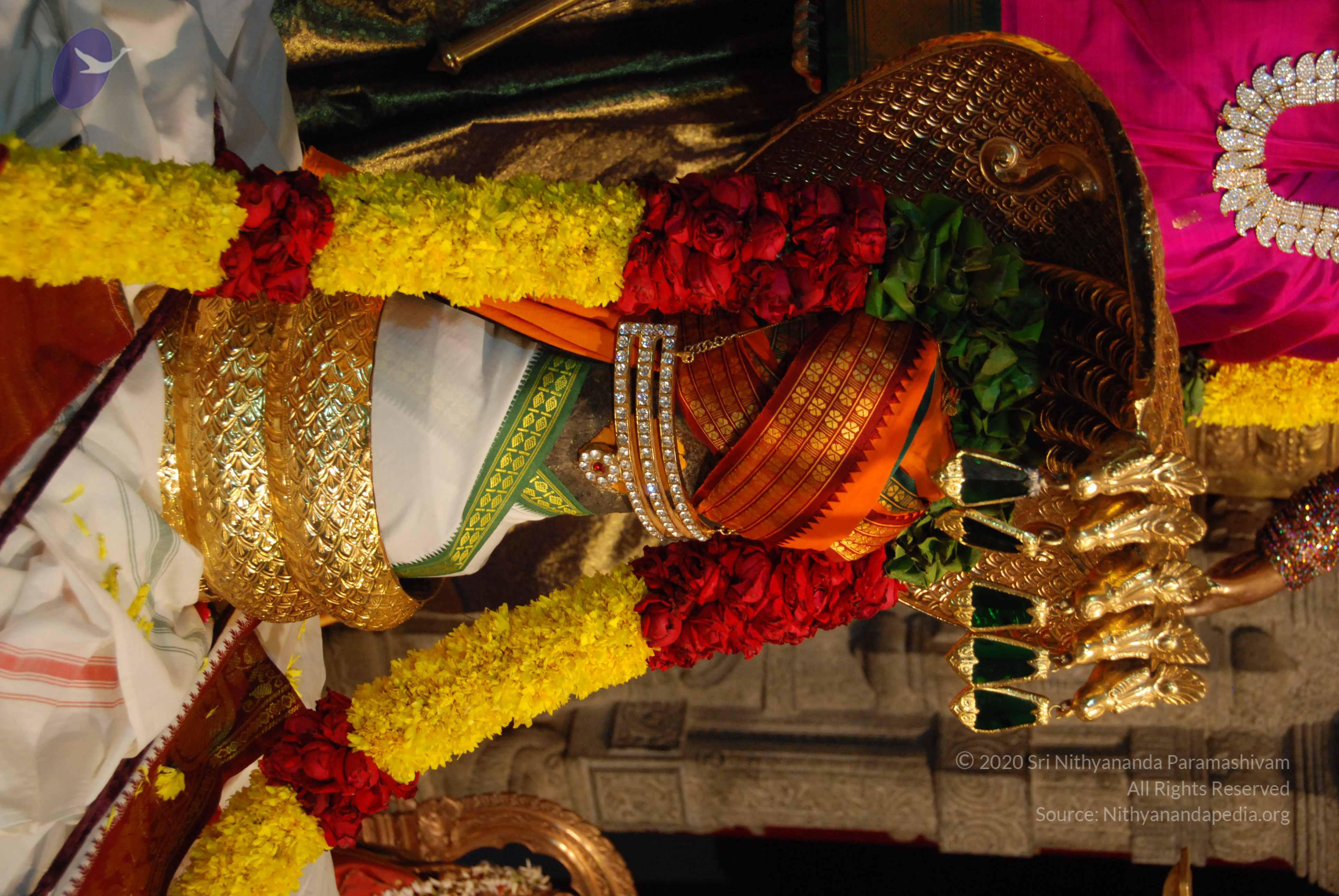 20170720_Photo_1020_DSC_4685_CMP_WM