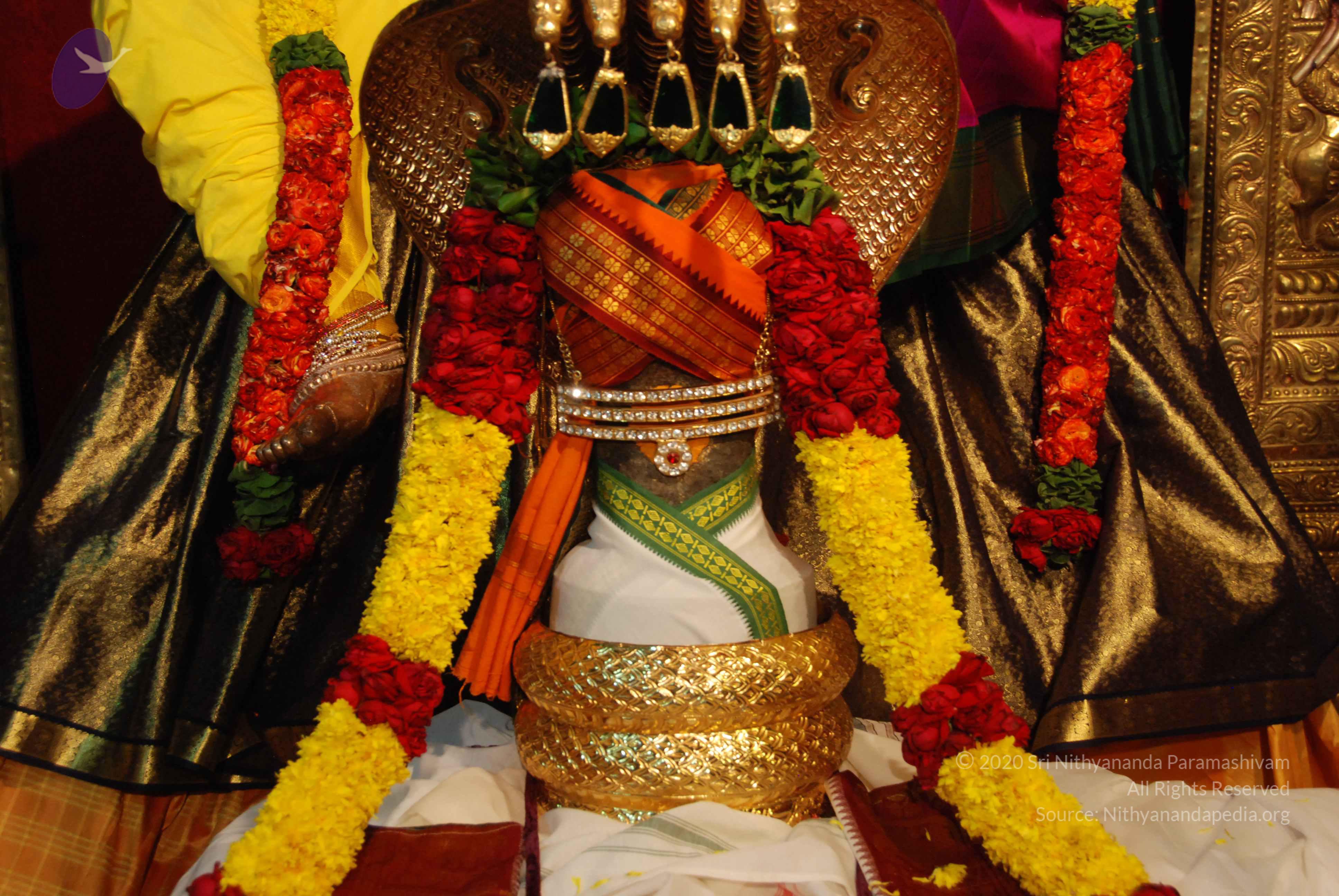 20170720_Photo_1022_DSC_4666_CMP_WM