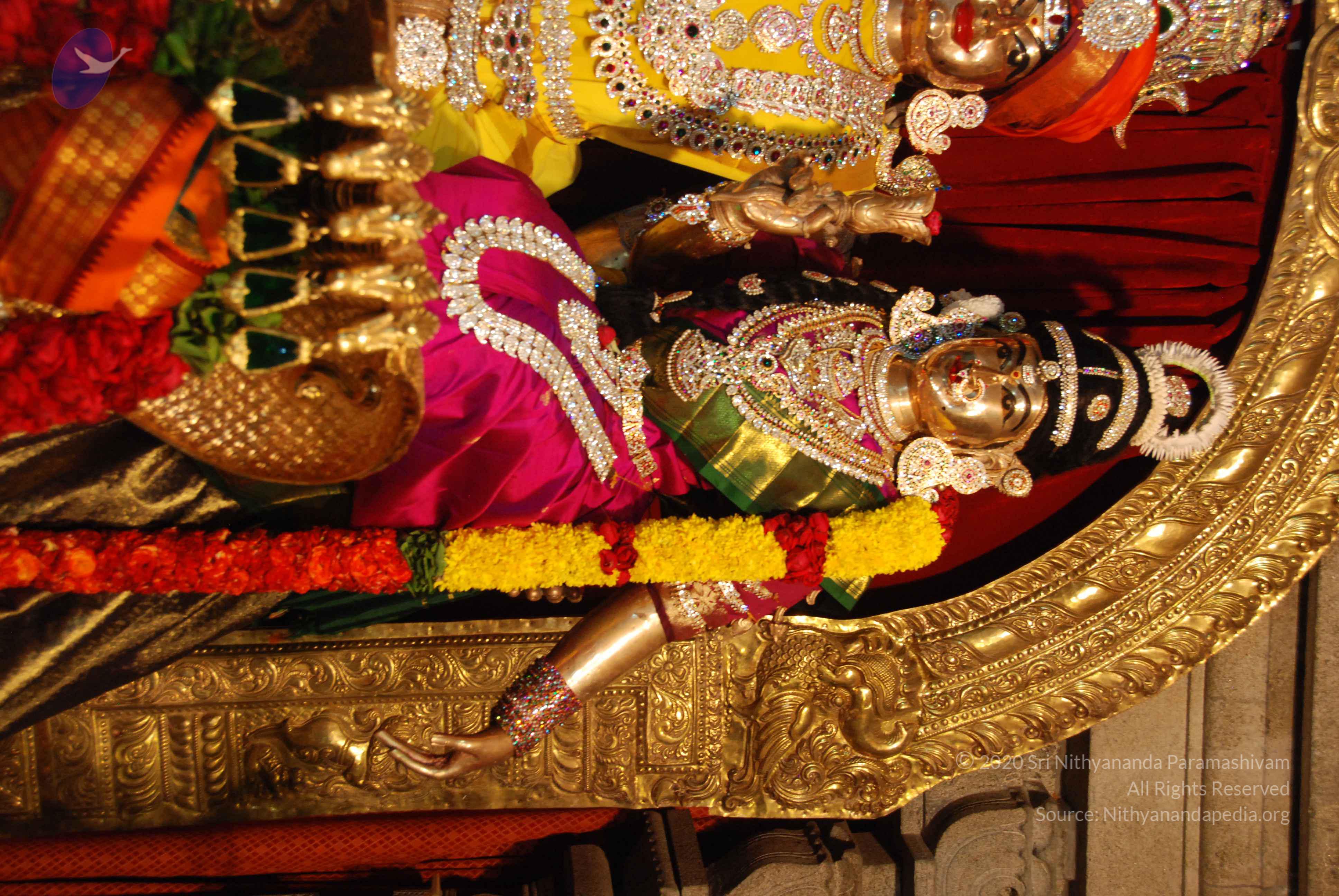 20170720_Photo_1023_DSC_4651_CMP_WM