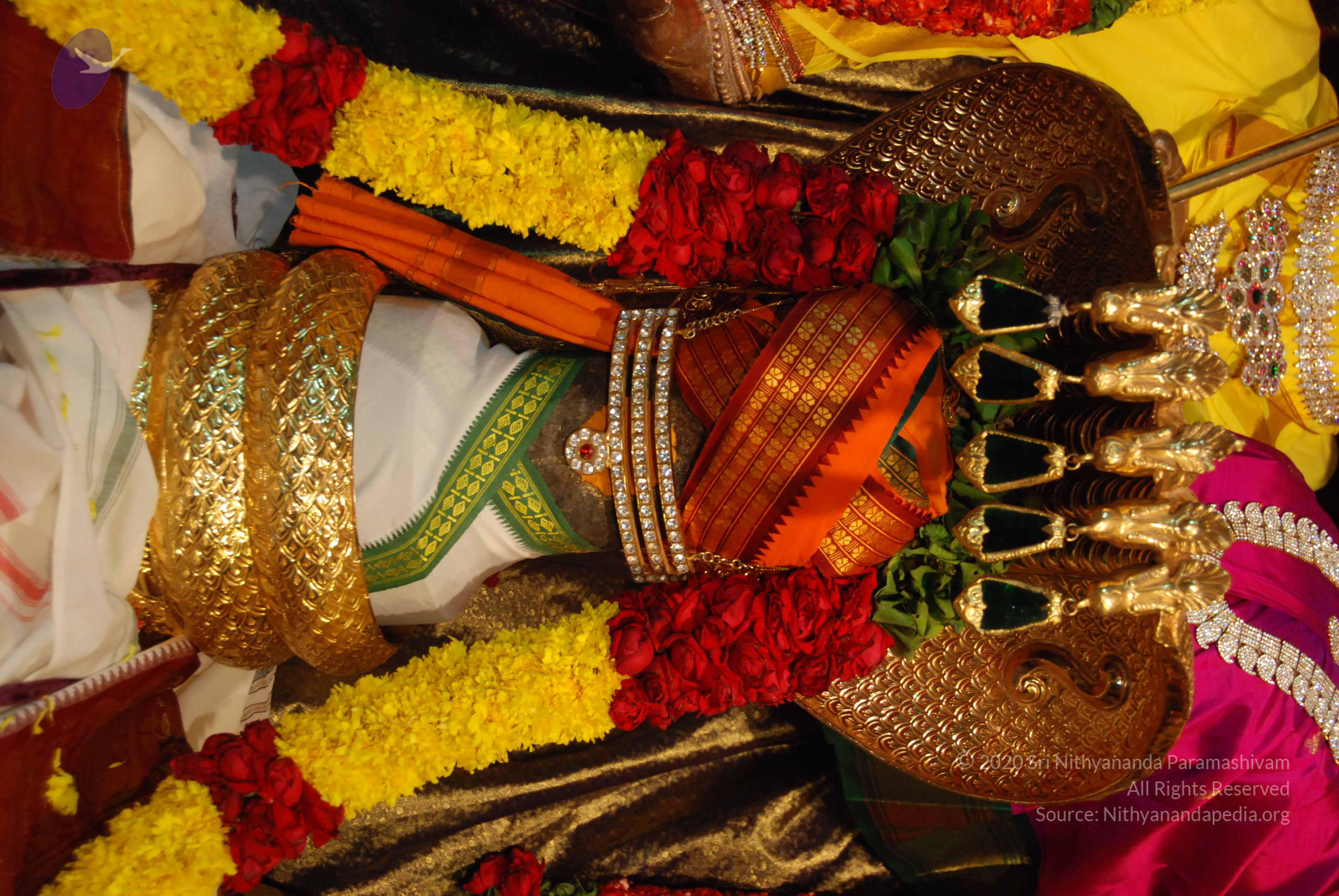 20170720_Photo_1025_DSC_4661_CMP_WM