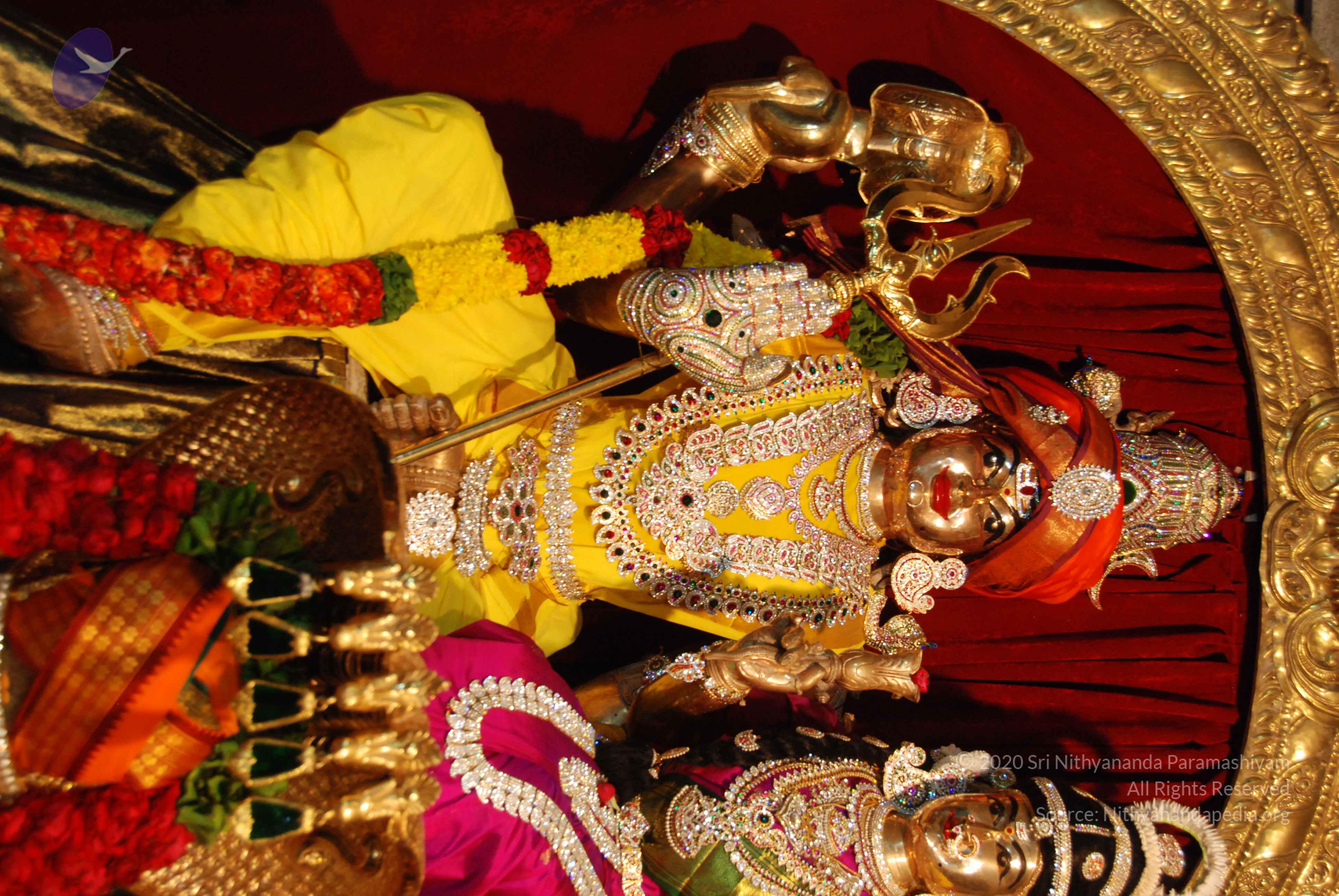 20170720_Photo_1029_DSC_4639_CMP_WM