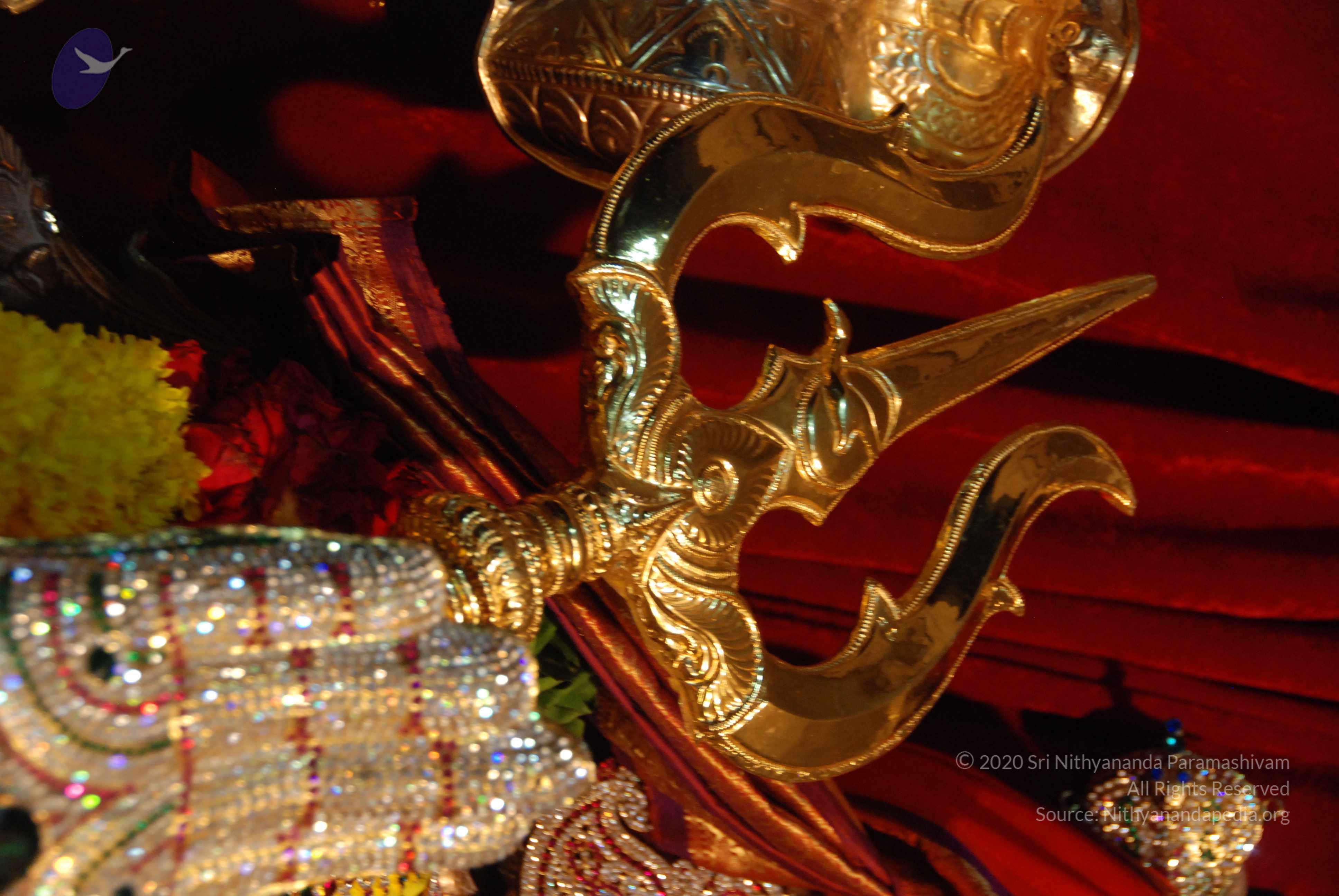 20170720_Photo_1030_DSC_4693_CMP_WM