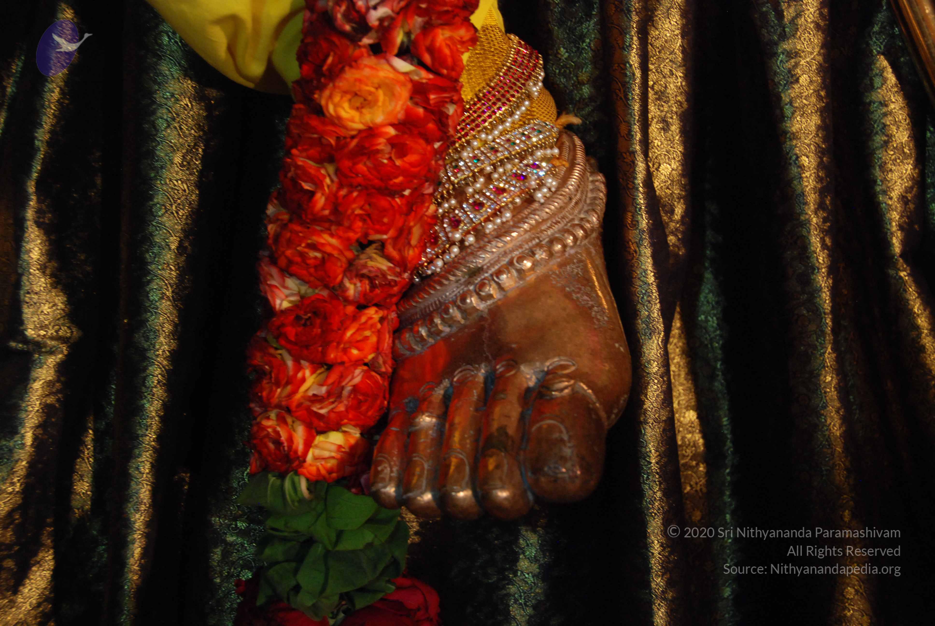 20170720_Photo_1031_DSC_4706_CMP_WM