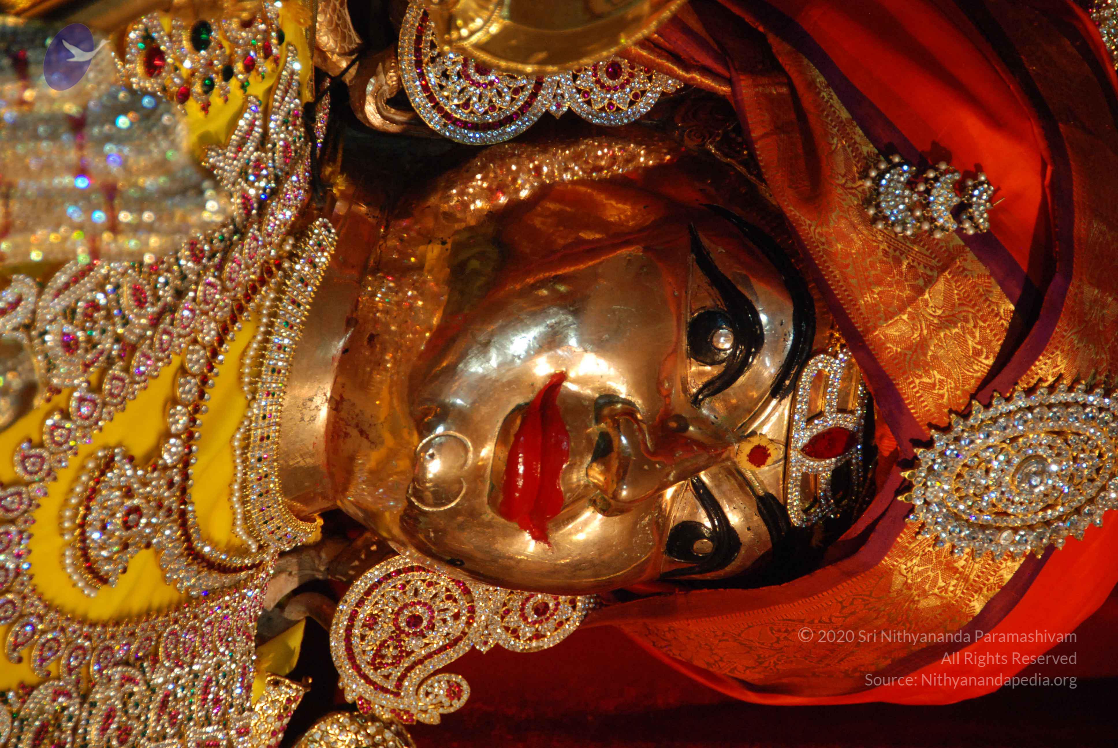 20170720_Photo_1032_DSC_4625_CMP_WM