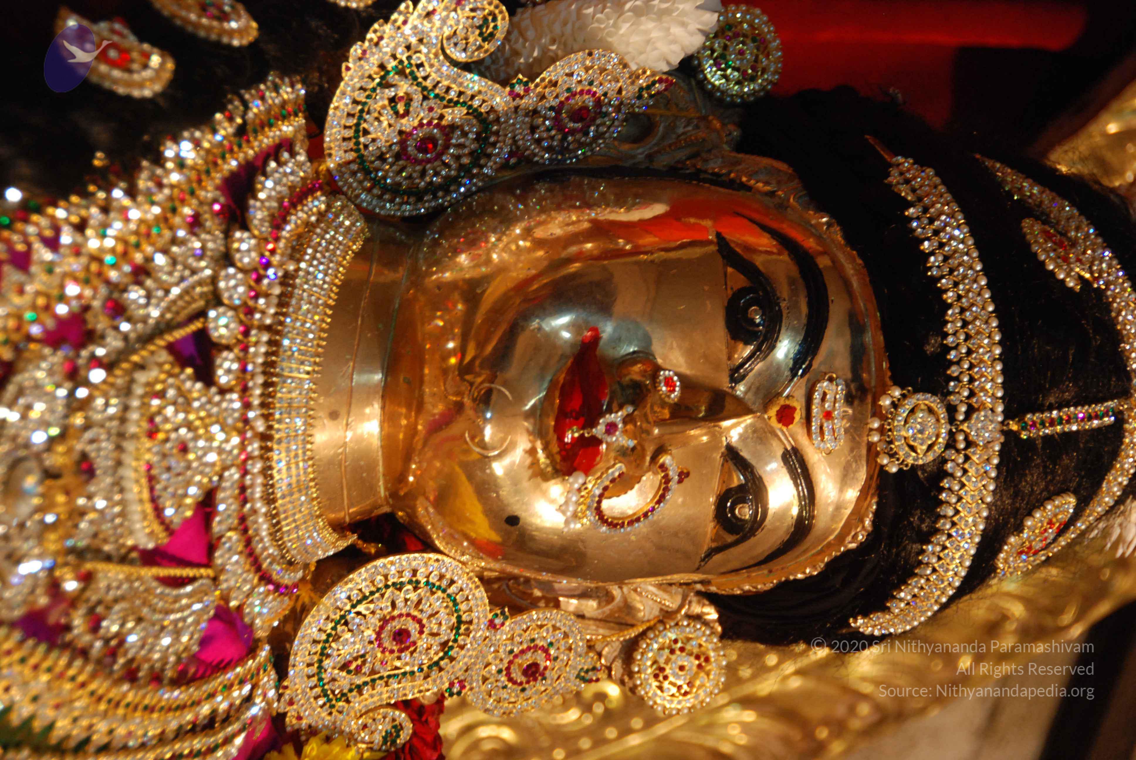 20170720_Photo_1033_DSC_4696_CMP_WM