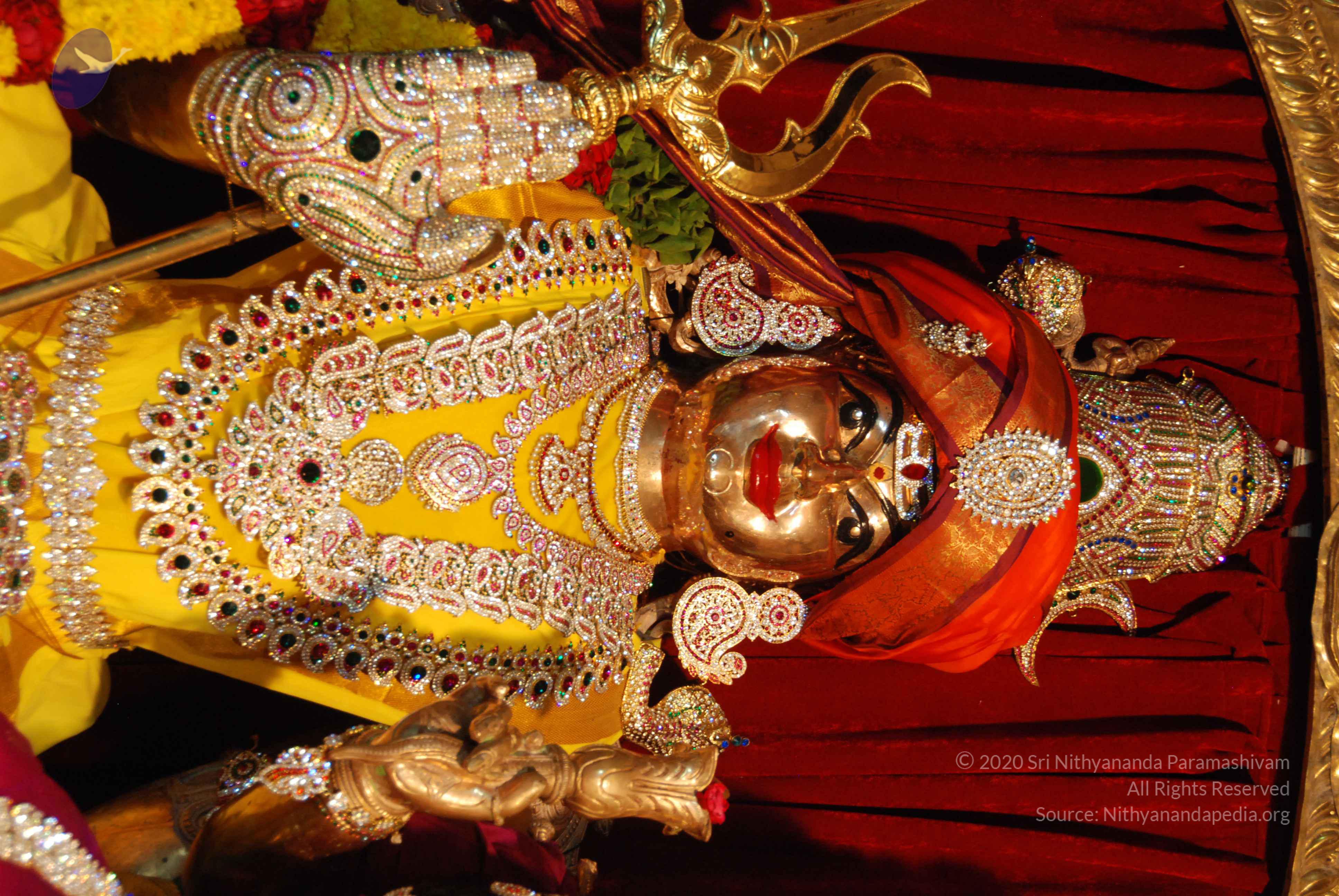 20170720_Photo_1035_DSC_4642_CMP_WM