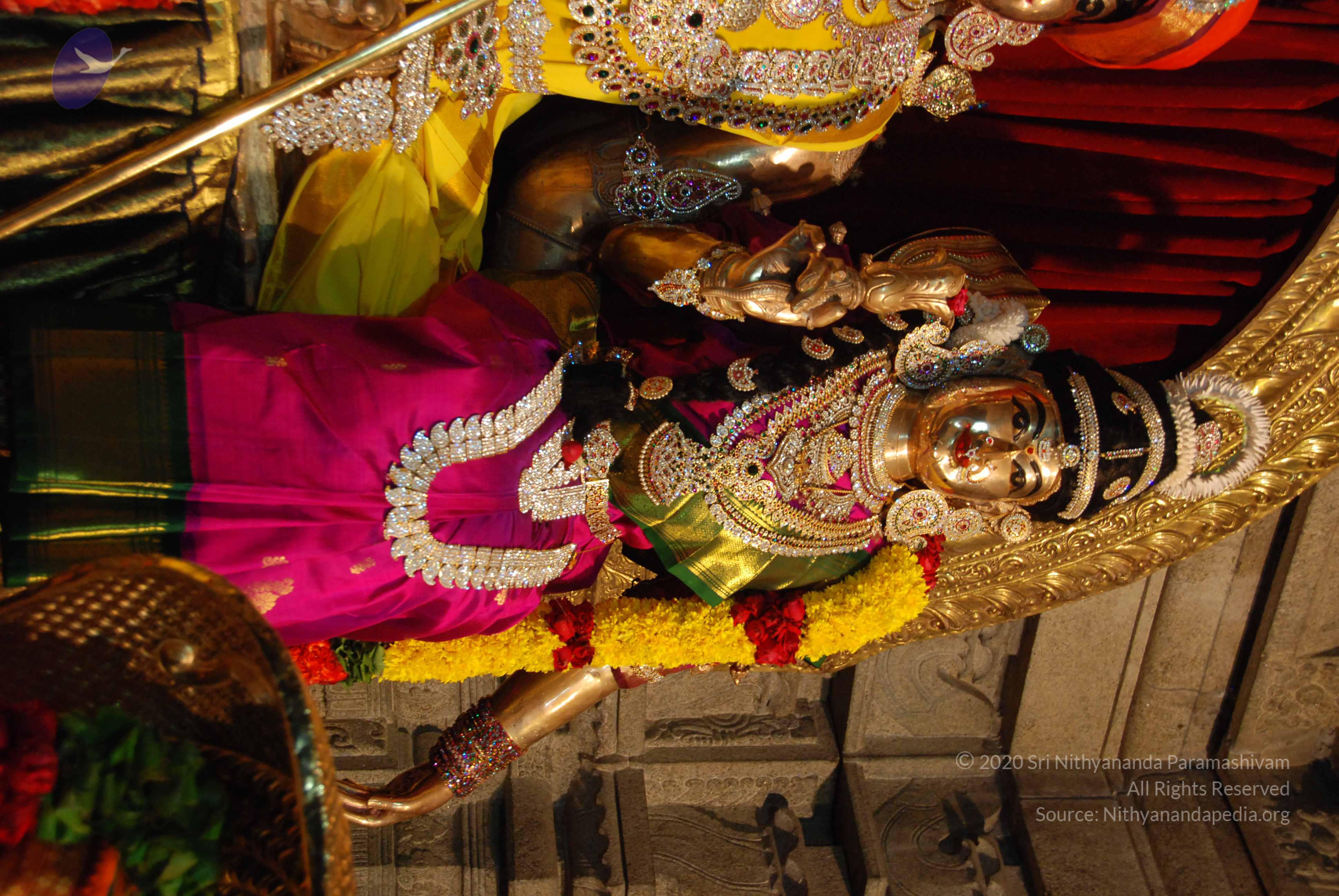 20170720_Photo_1037_DSC_4620_CMP_WM