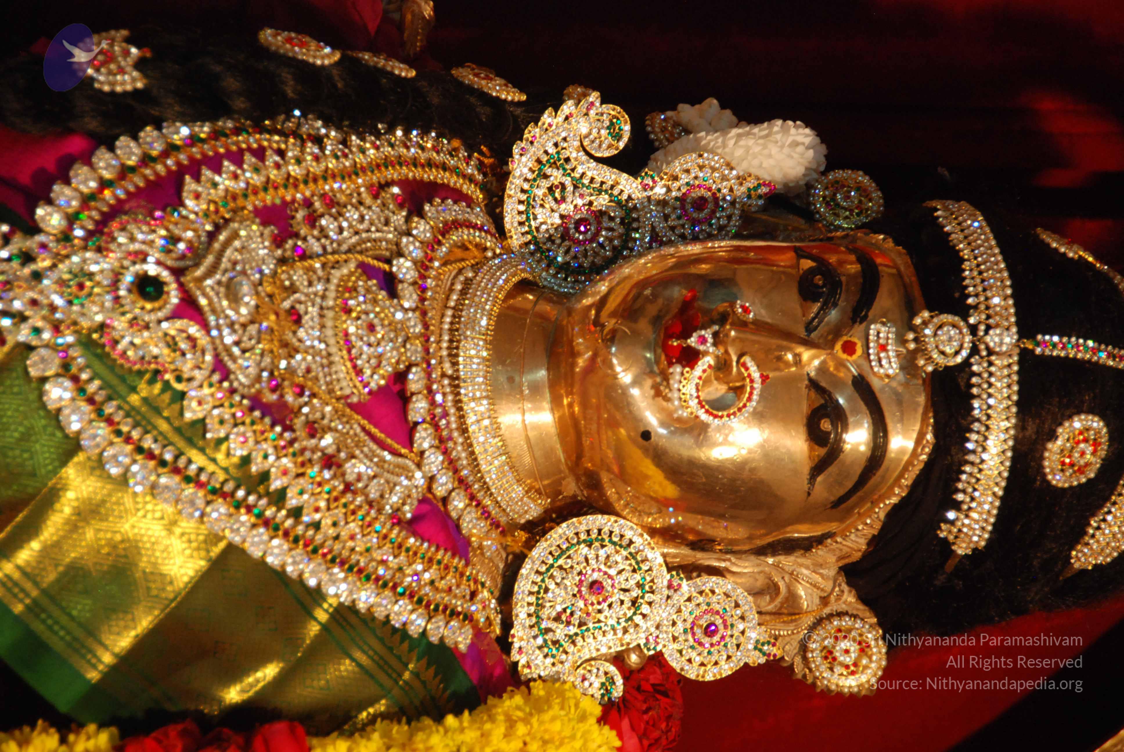 20170720_Photo_1040_DSC_4653_CMP_WM