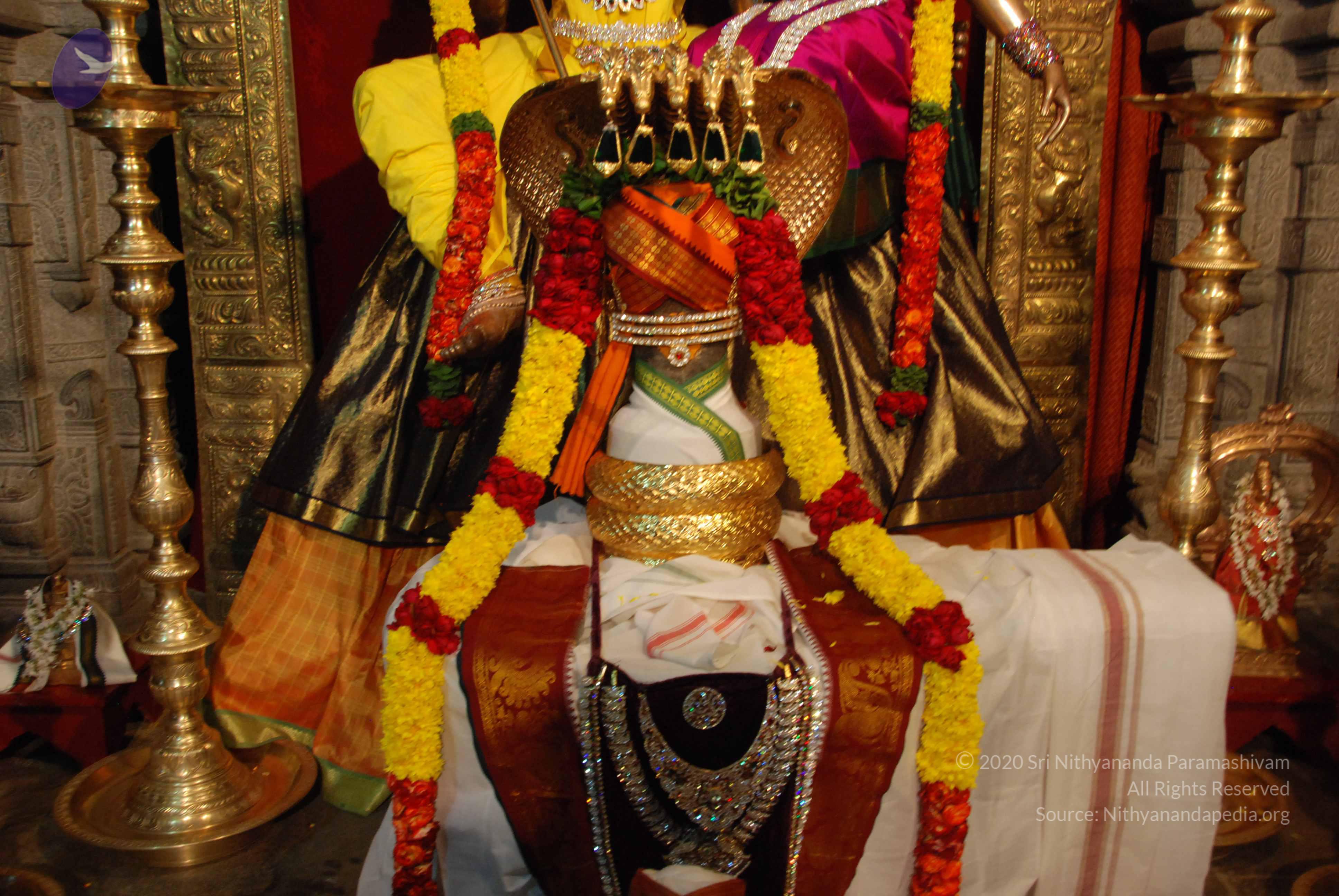 20170720_Photo_1041_DSC_4664_CMP_WM