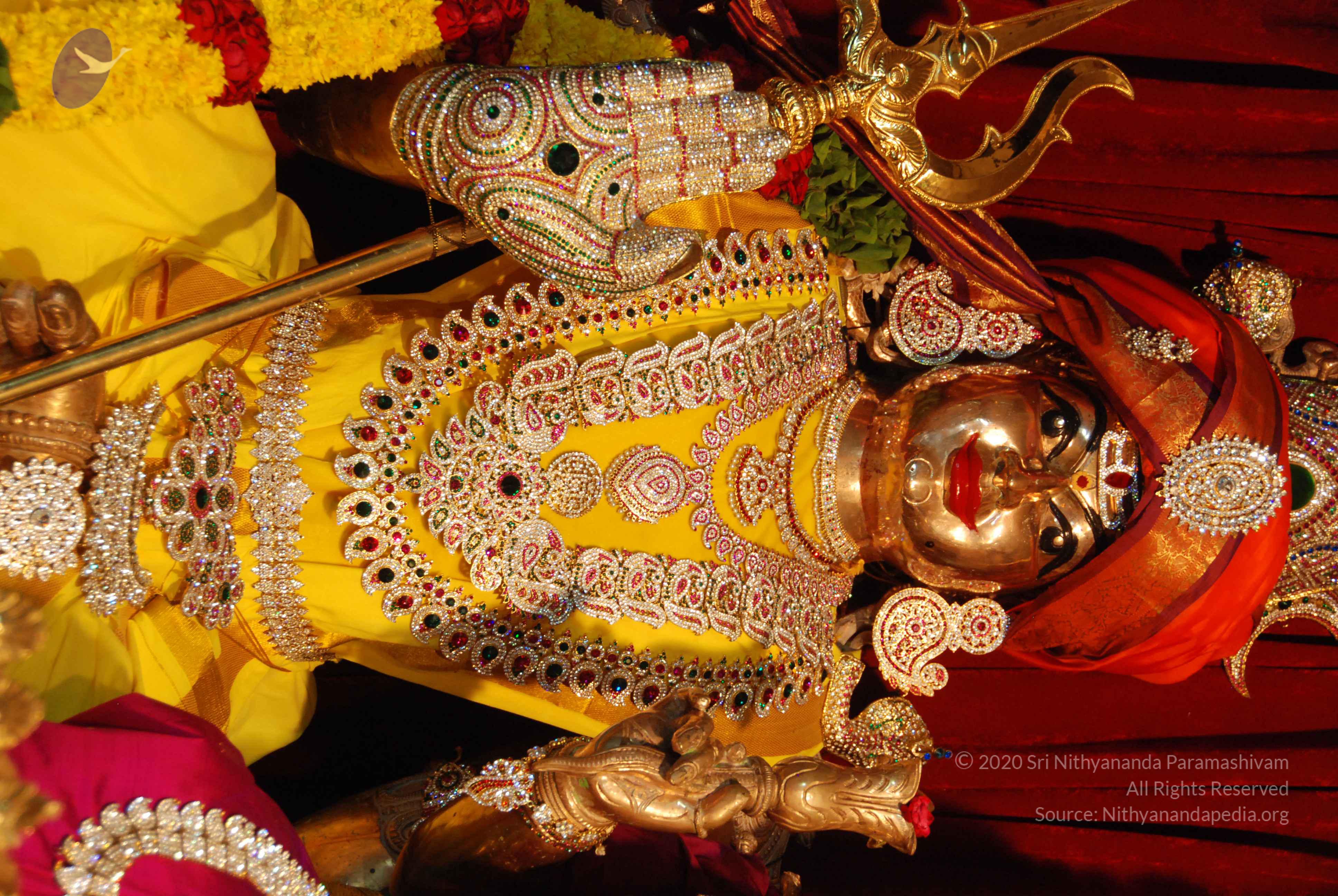 20170720_Photo_1044_DSC_4641_CMP_WM