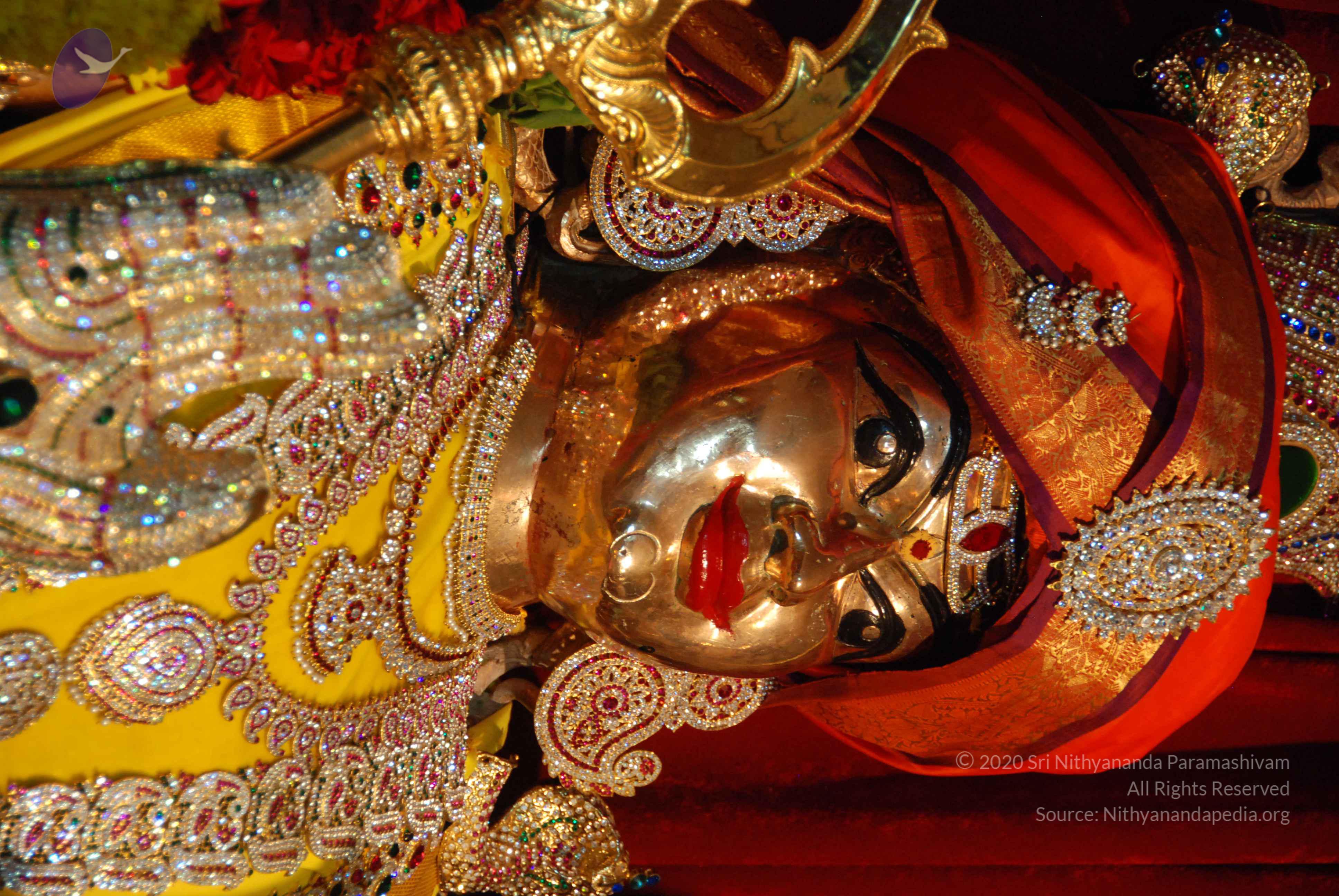 20170720_Photo_1046_DSC_4623_CMP_WM