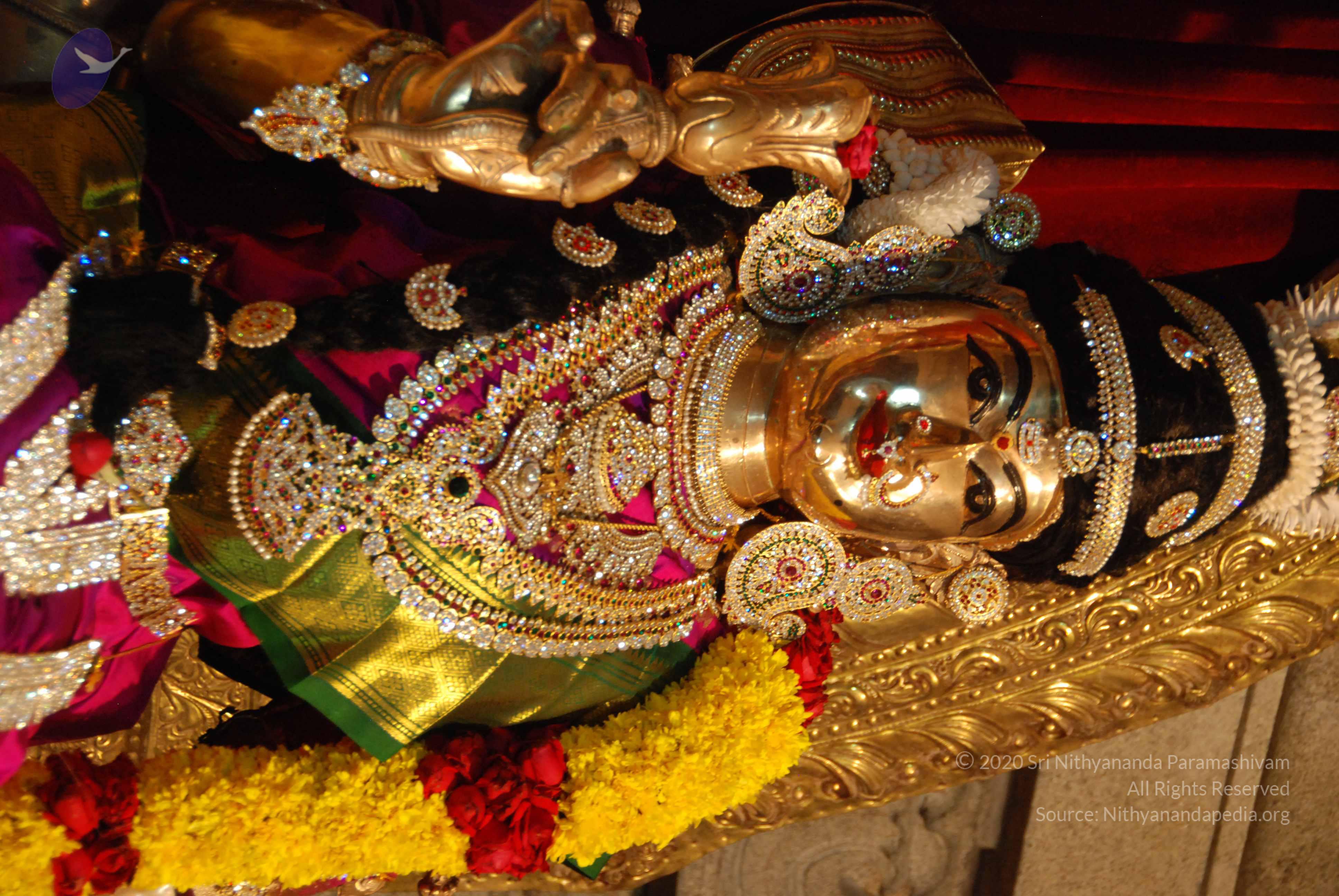 20170720_Photo_1047_DSC_4614_CMP_WM