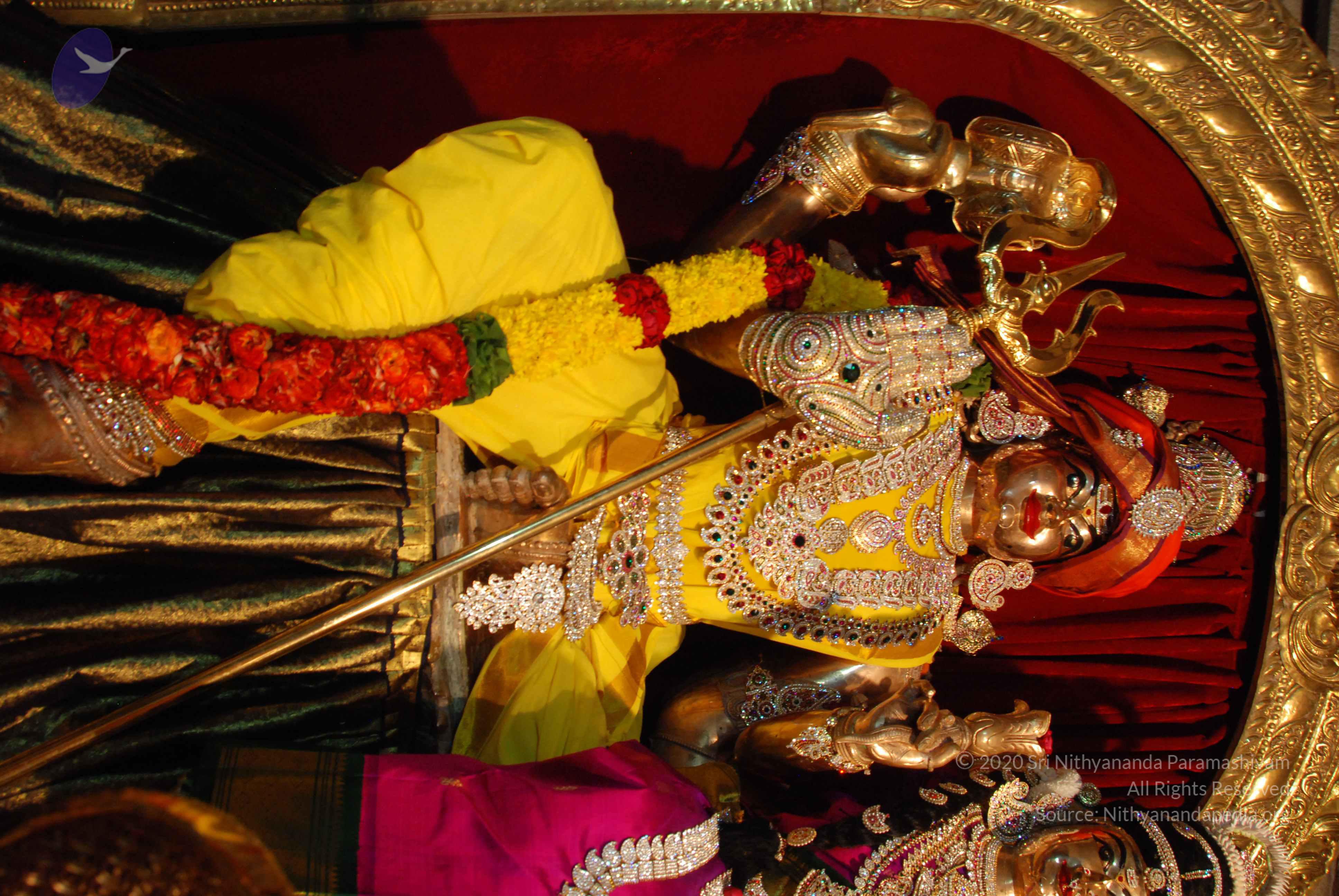 20170720_Photo_1048_DSC_4700_CMP_WM