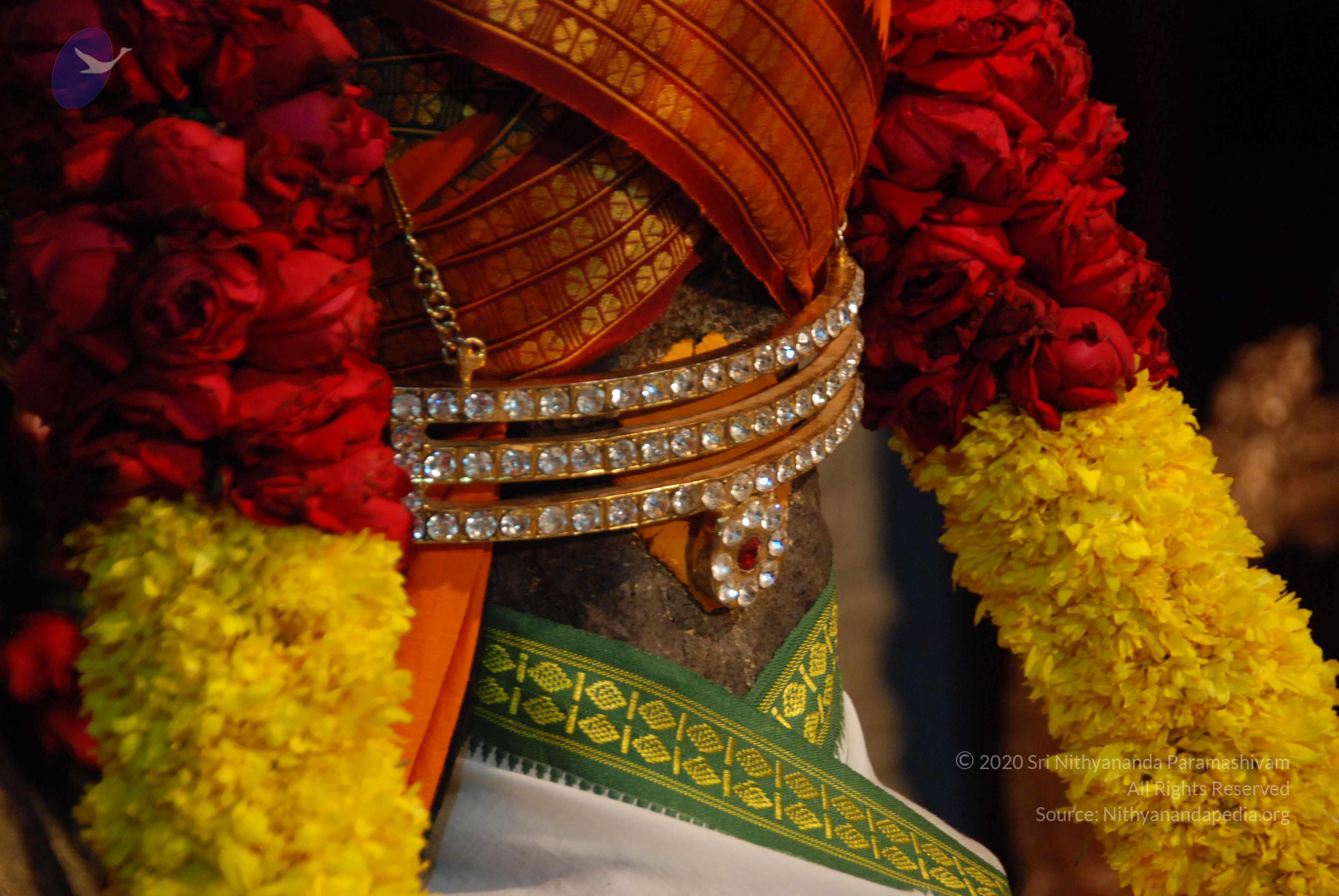 20170720_Photo_1049_DSC_4689_CMP_WM