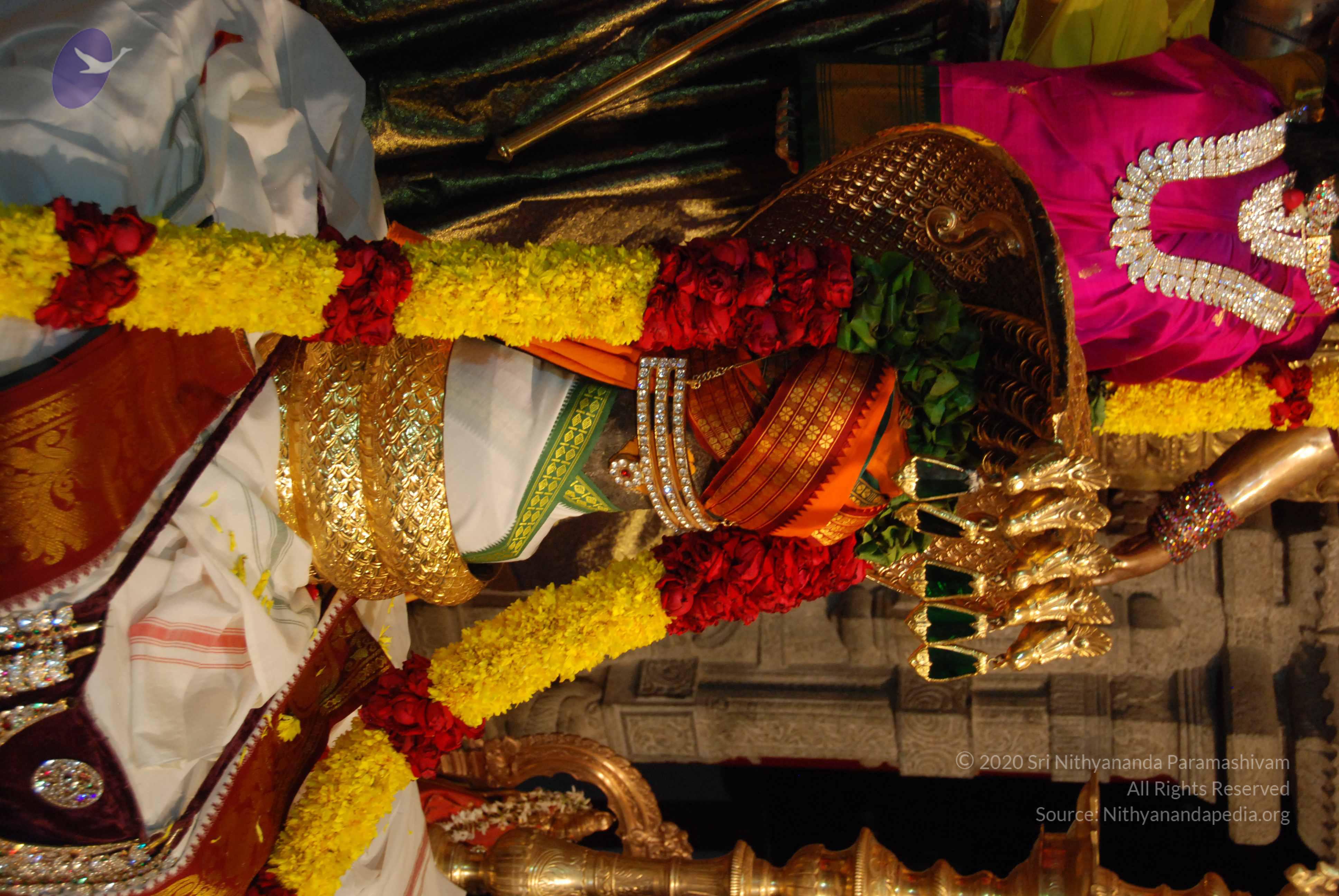 20170720_Photo_1050_DSC_4684_CMP_WM