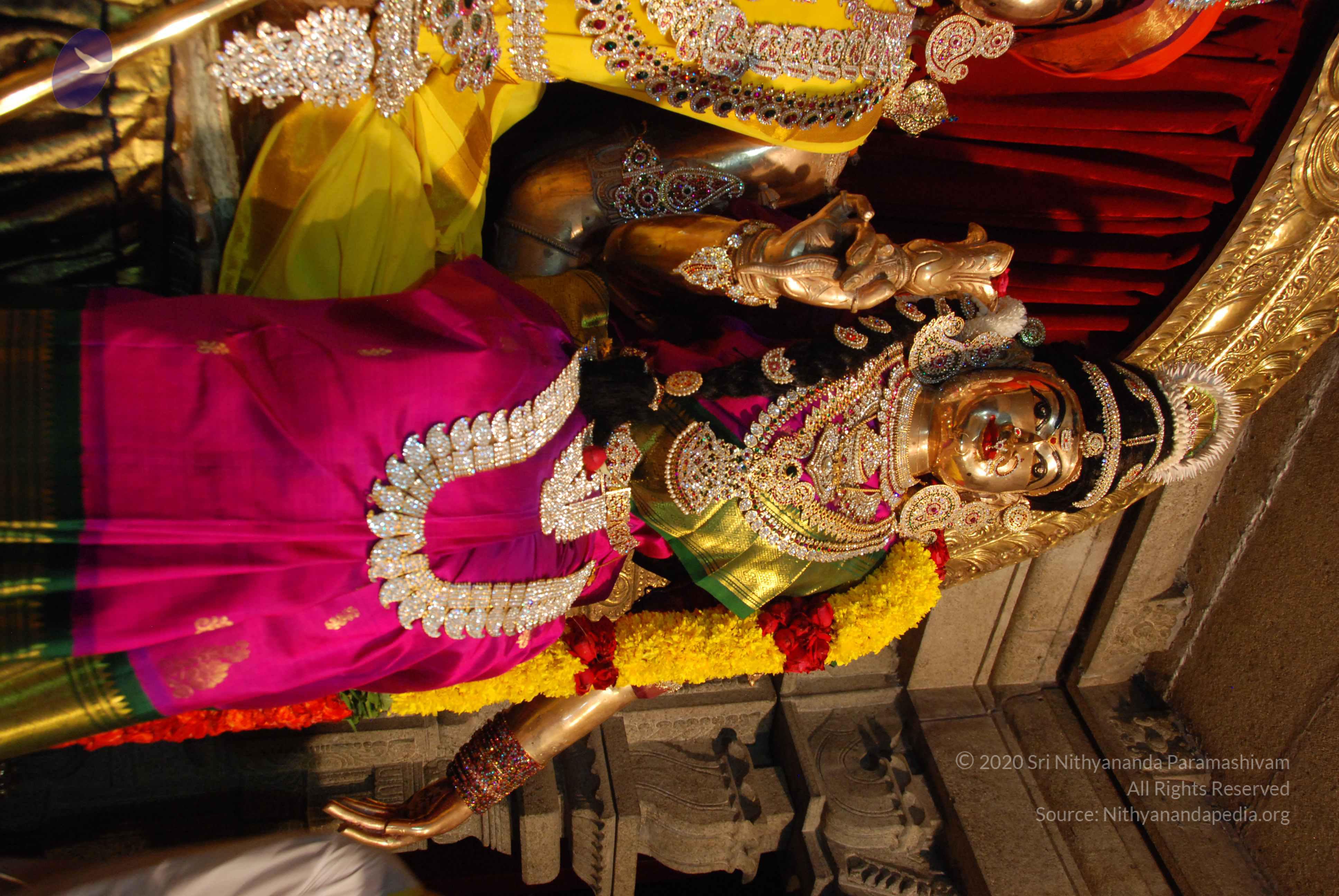 20170720_Photo_1051_DSC_4698_CMP_WM