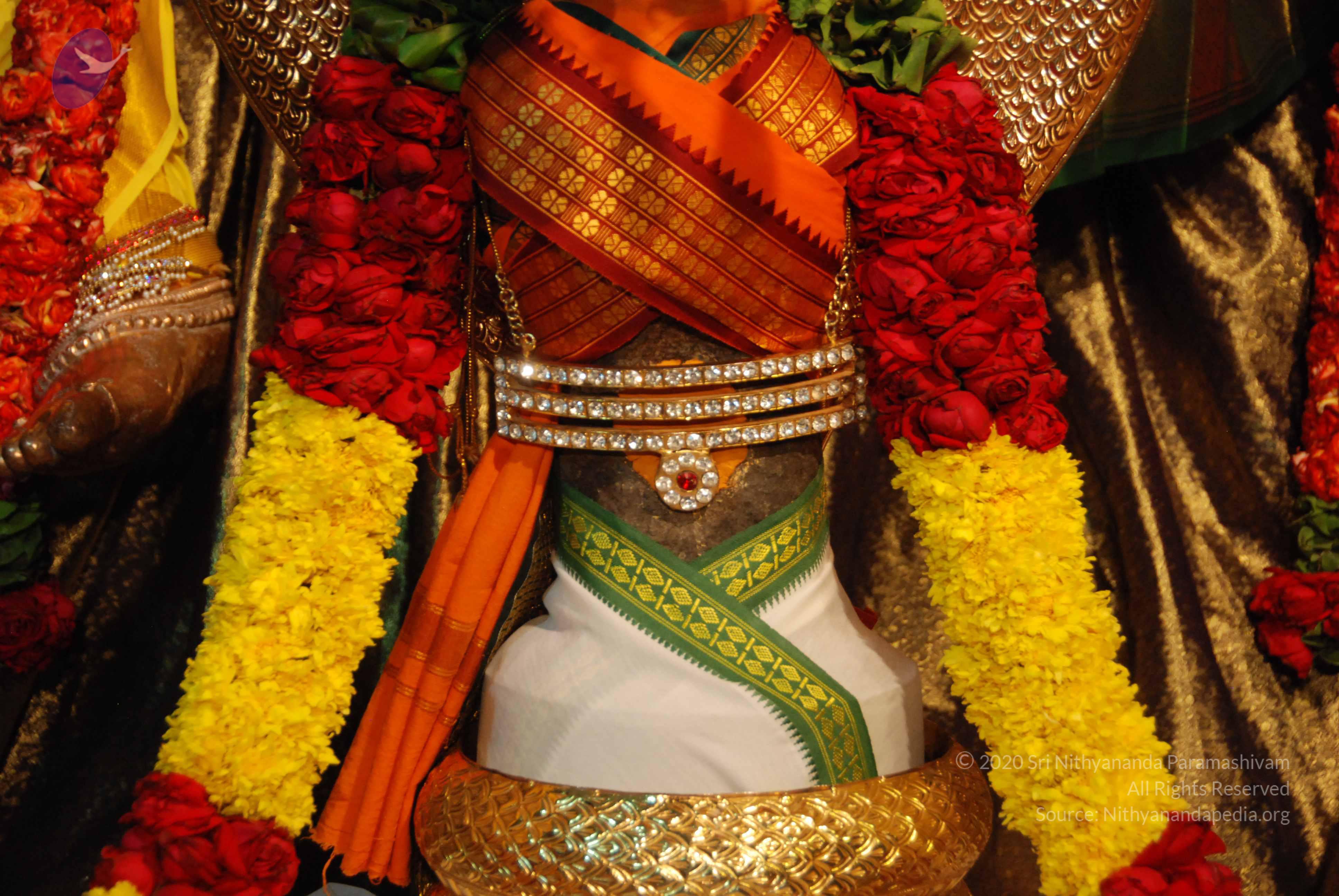 20170720_Photo_1053_DSC_4667_CMP_WM