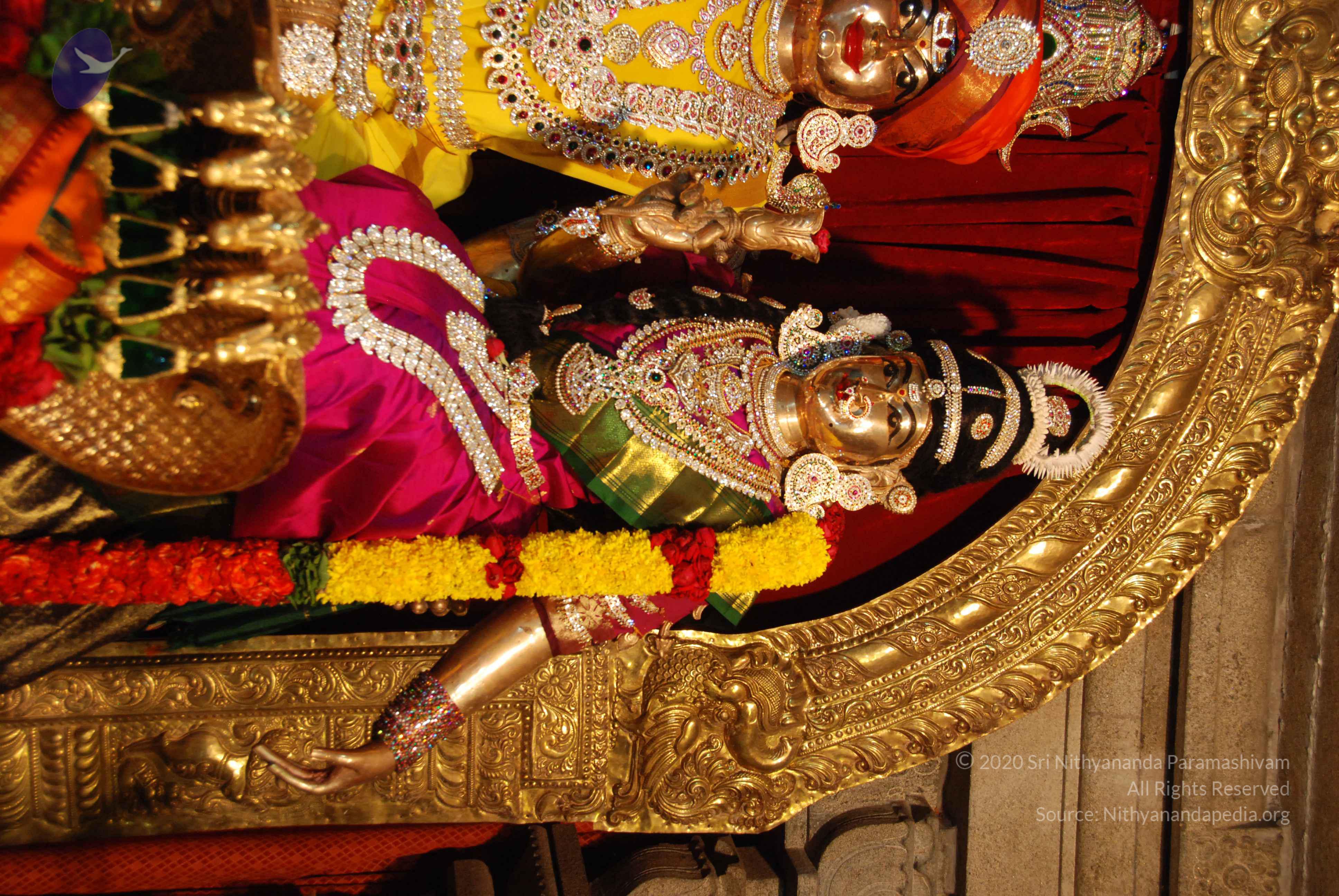 20170720_Photo_1054_DSC_4650_CMP_WM