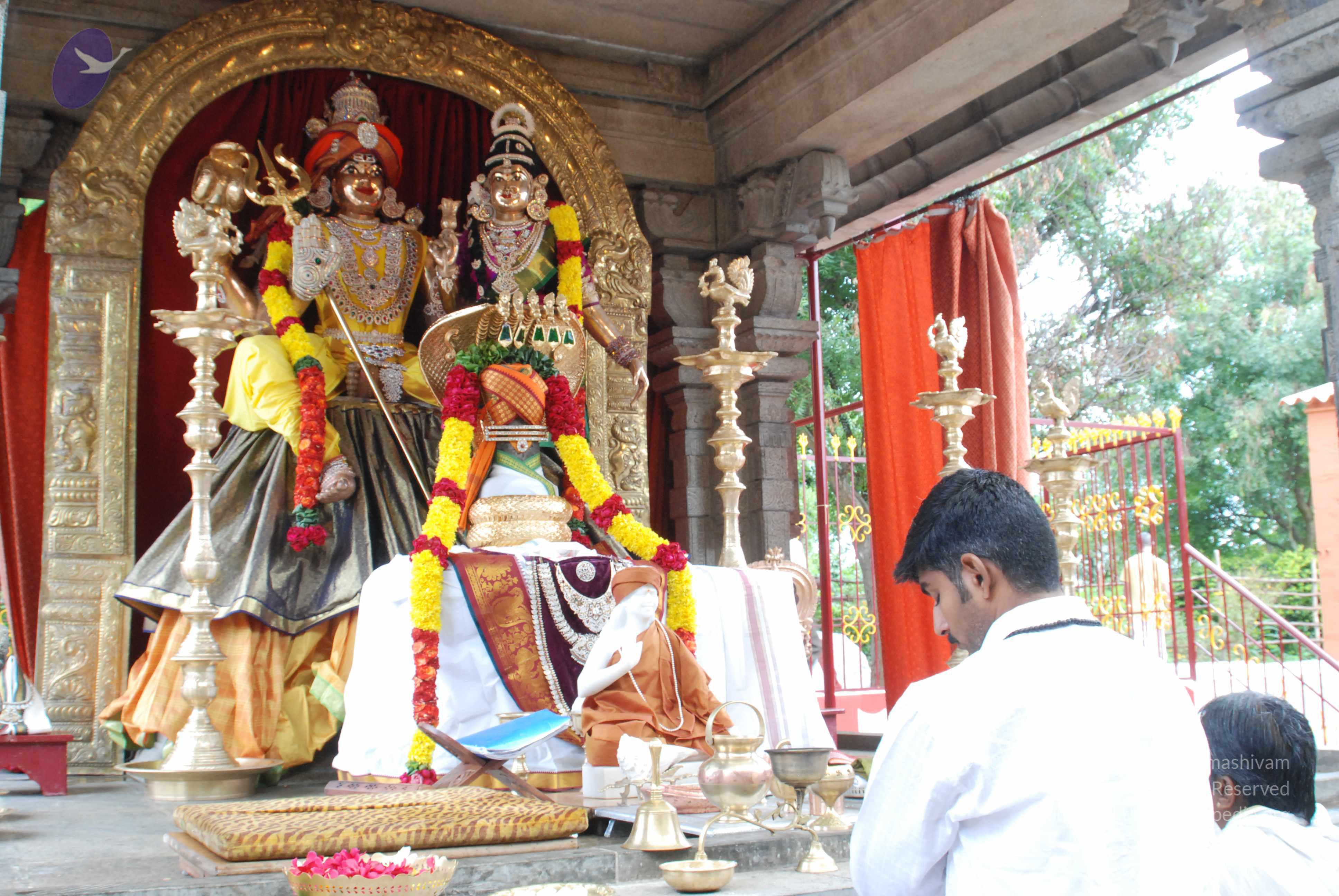 20170720_Photo_1055_DSC_4217_CMP_WM