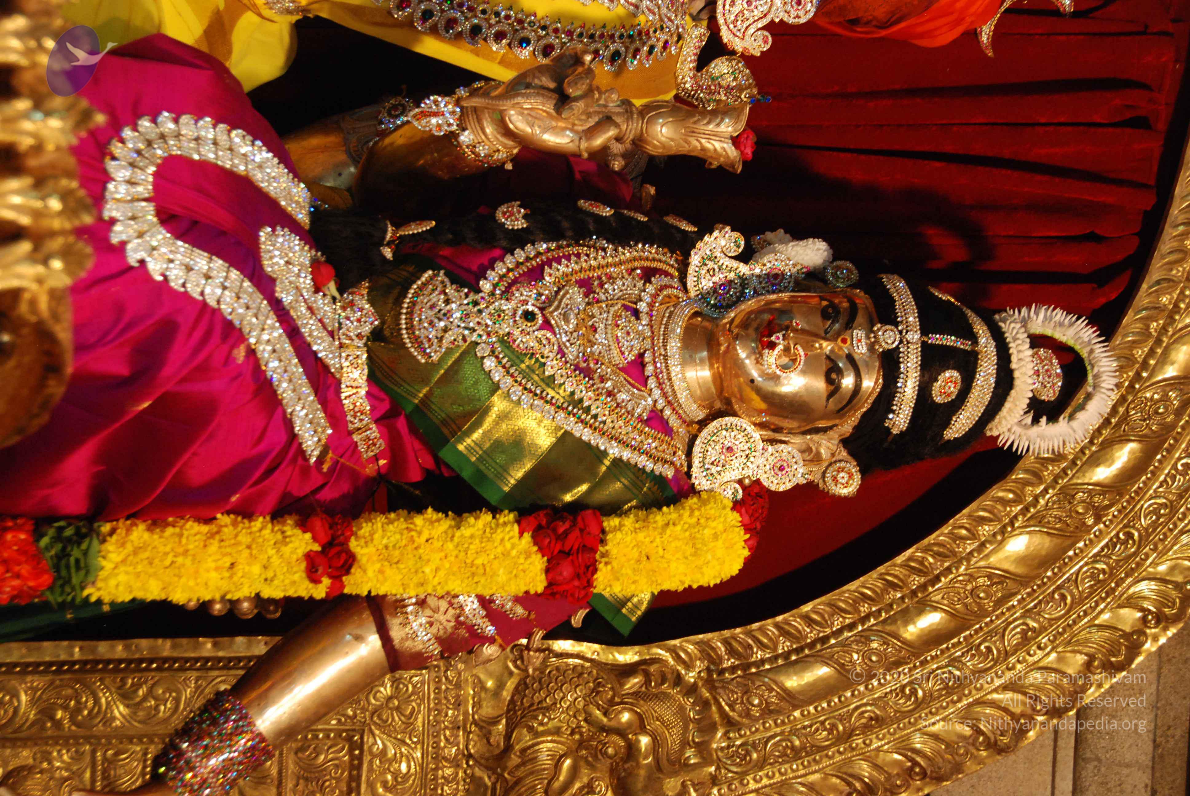 20170720_Photo_1056_DSC_4649_CMP_WM