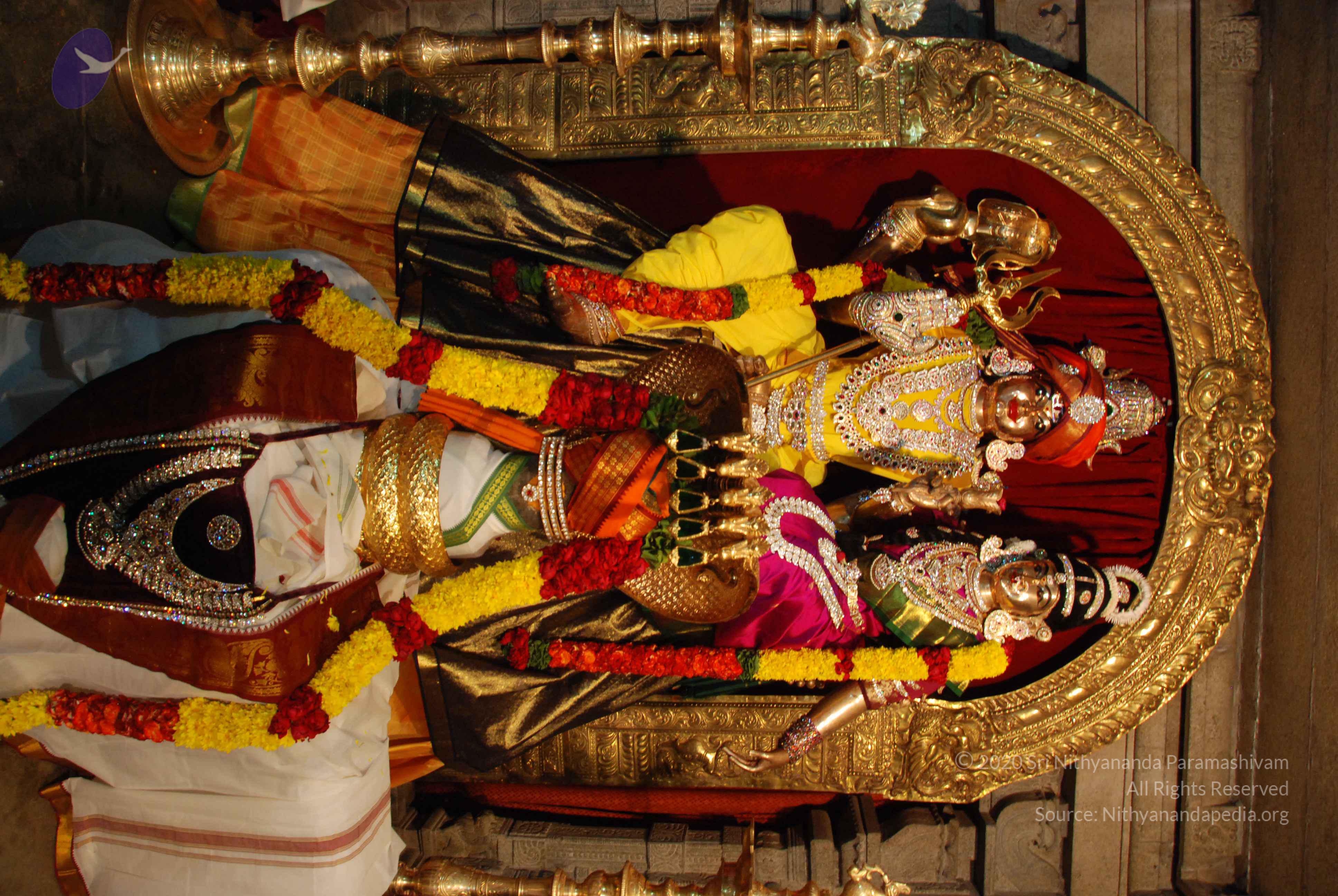 20170720_Photo_1058_DSC_4637_CMP_WM