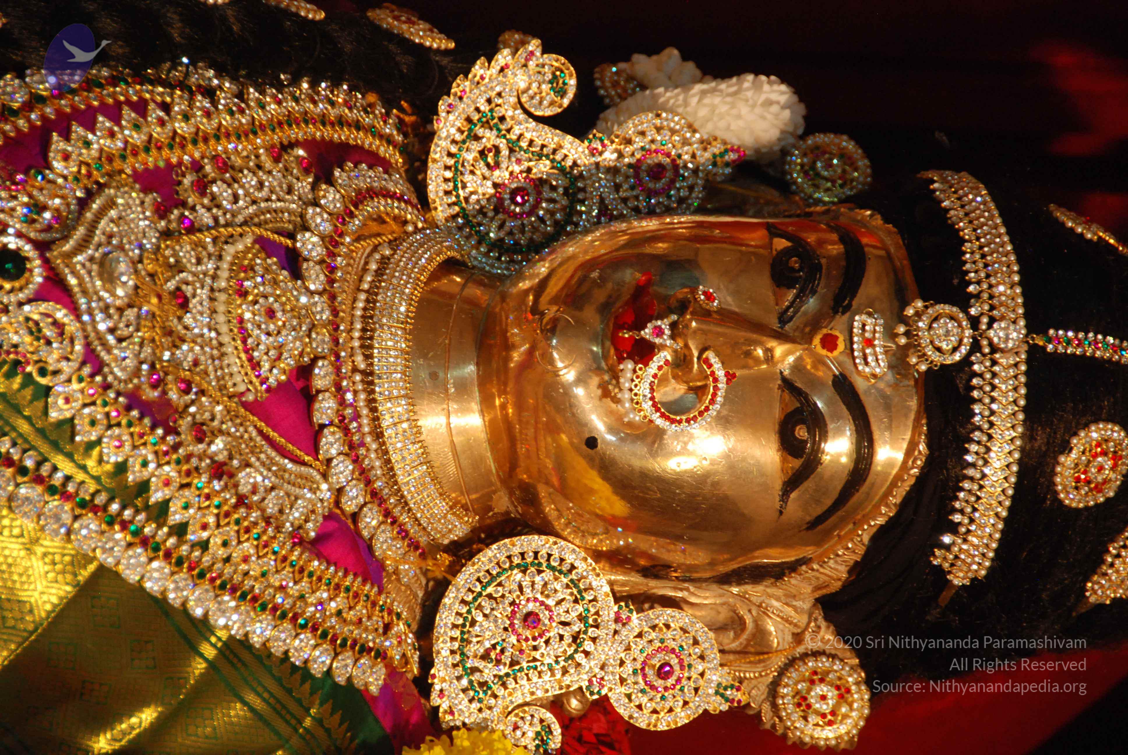 20170720_Photo_1059_DSC_4655_CMP_WM