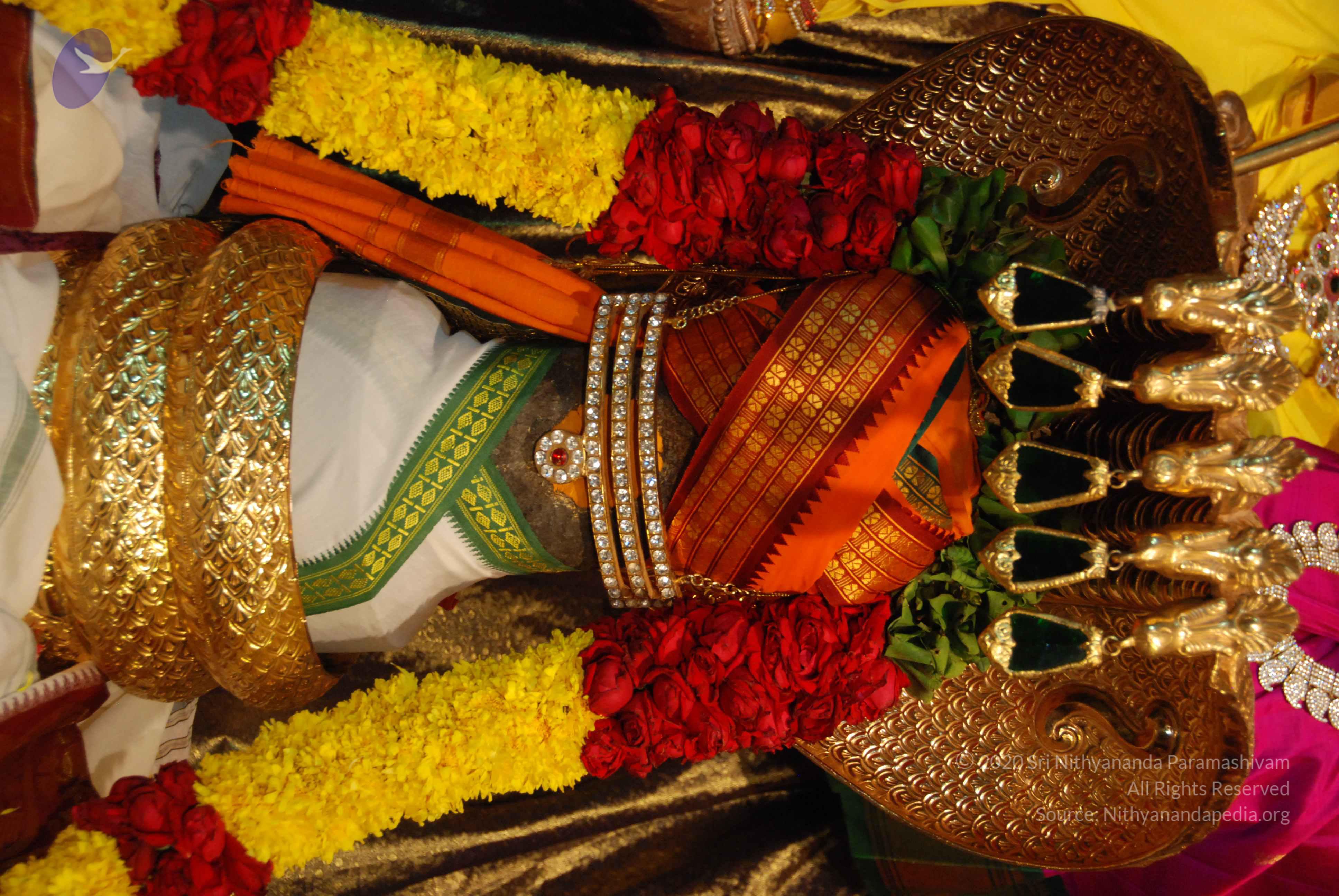 20170720_Photo_1060_DSC_4662_CMP_WM