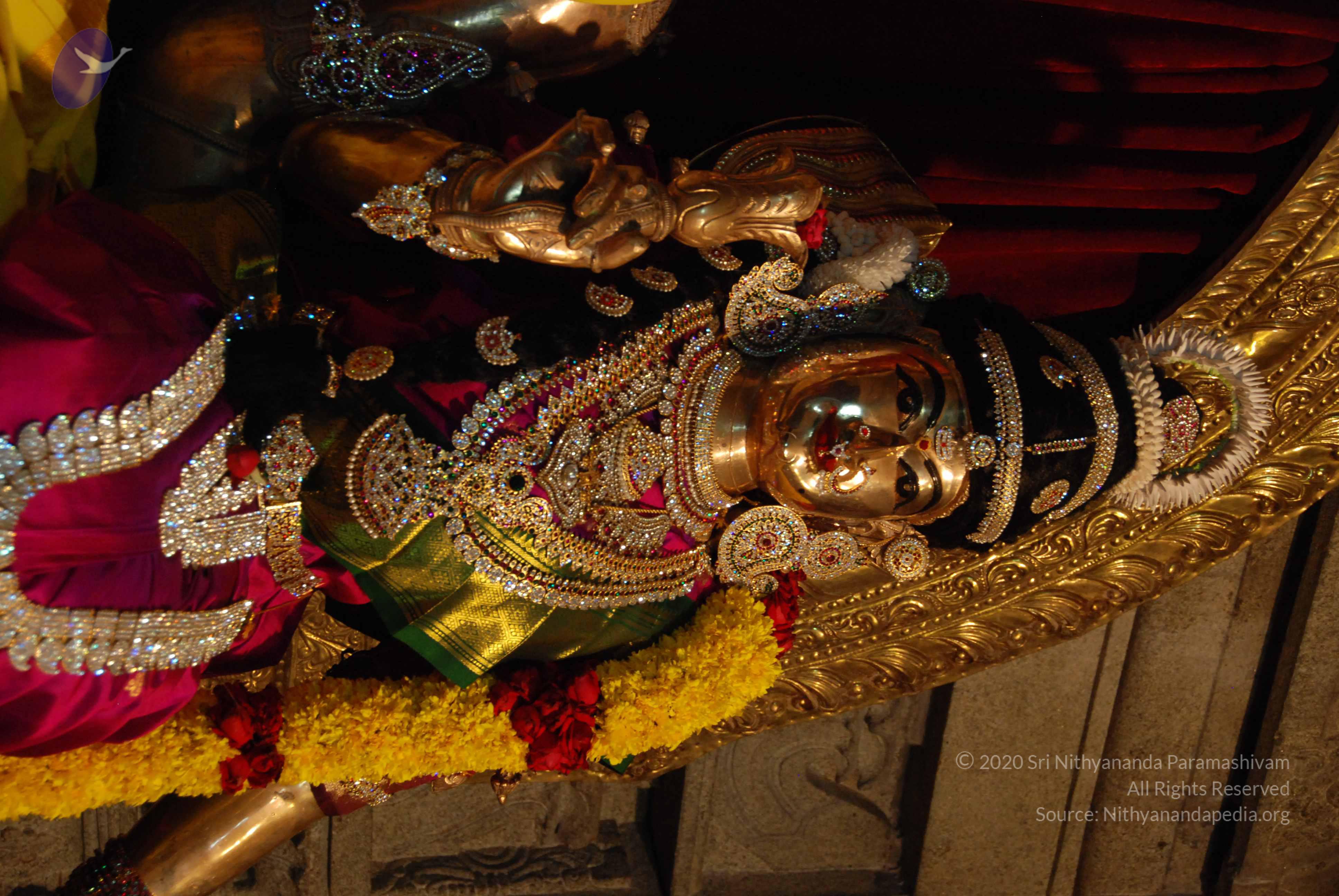 20170720_Photo_1064_DSC_4611_CMP_WM