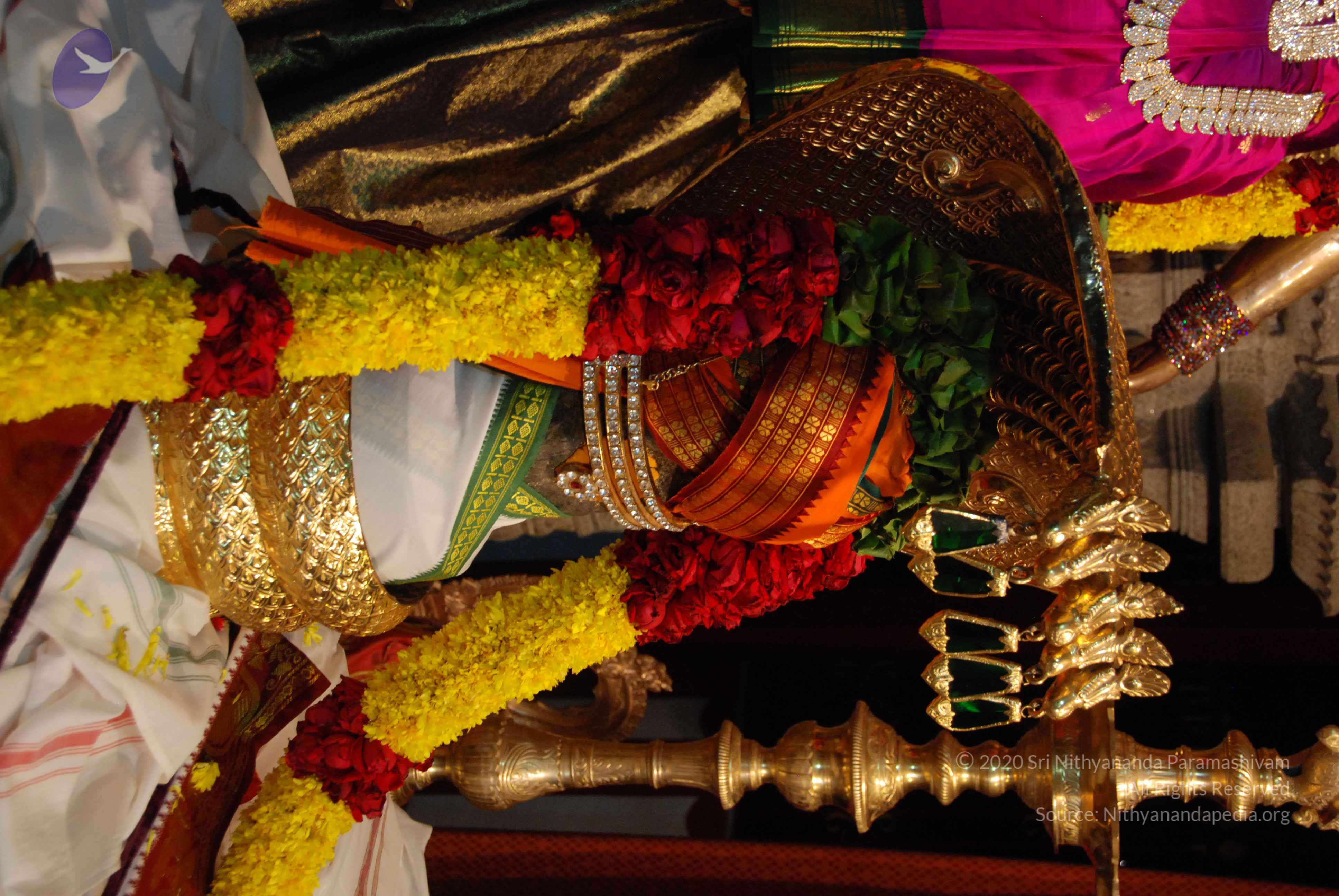 20170720_Photo_1066_DSC_4690_CMP_WM