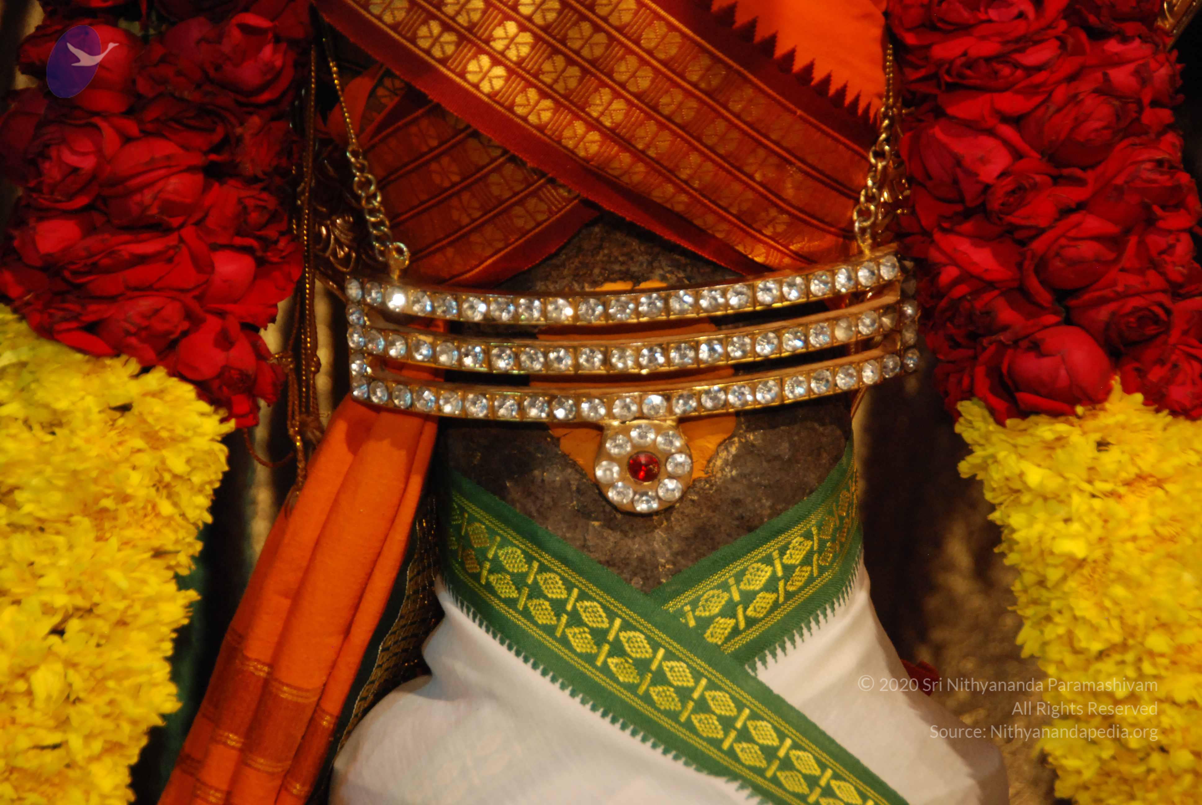 20170720_Photo_1067_DSC_4668_CMP_WM