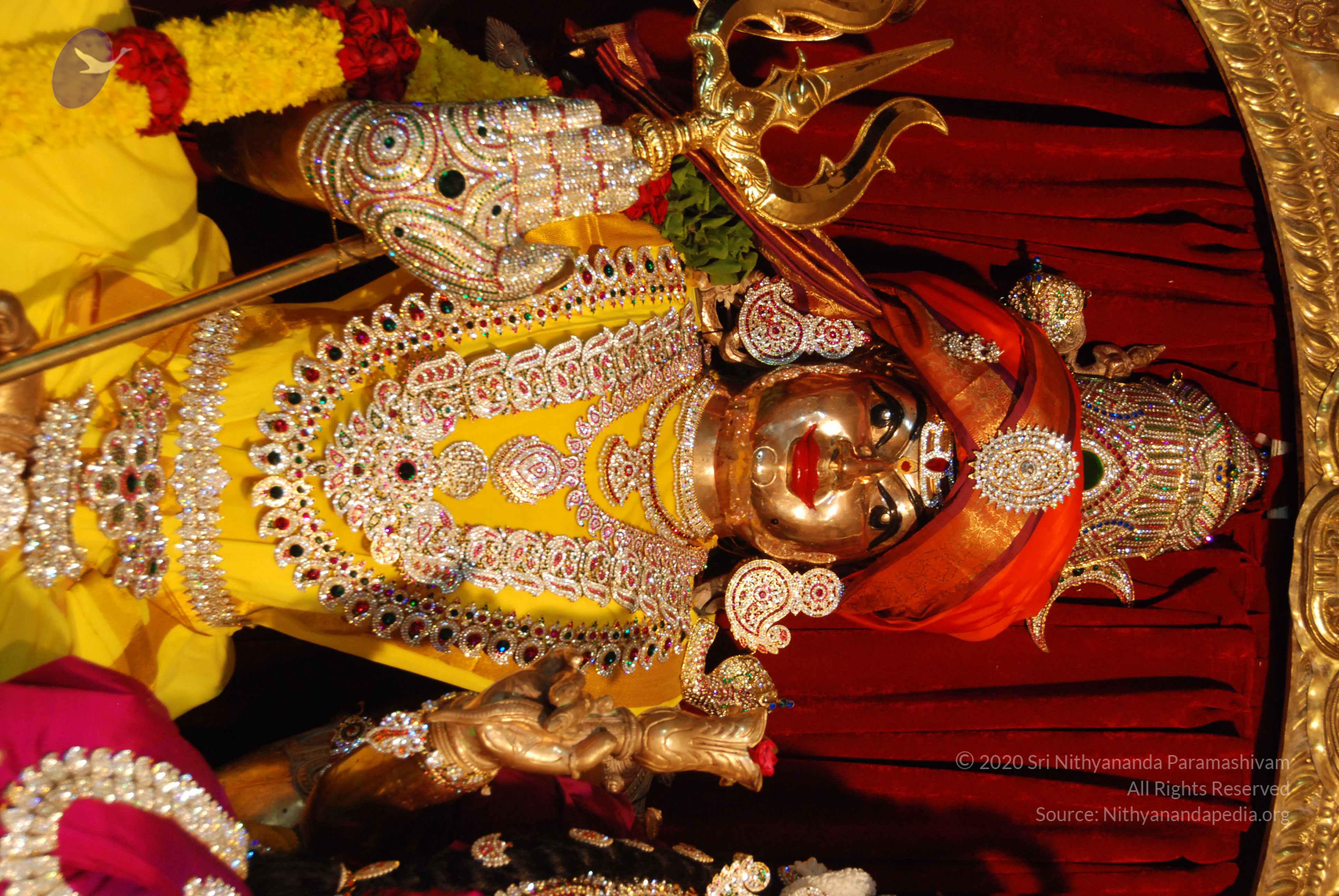 20170720_Photo_1069_DSC_4643_CMP_WM