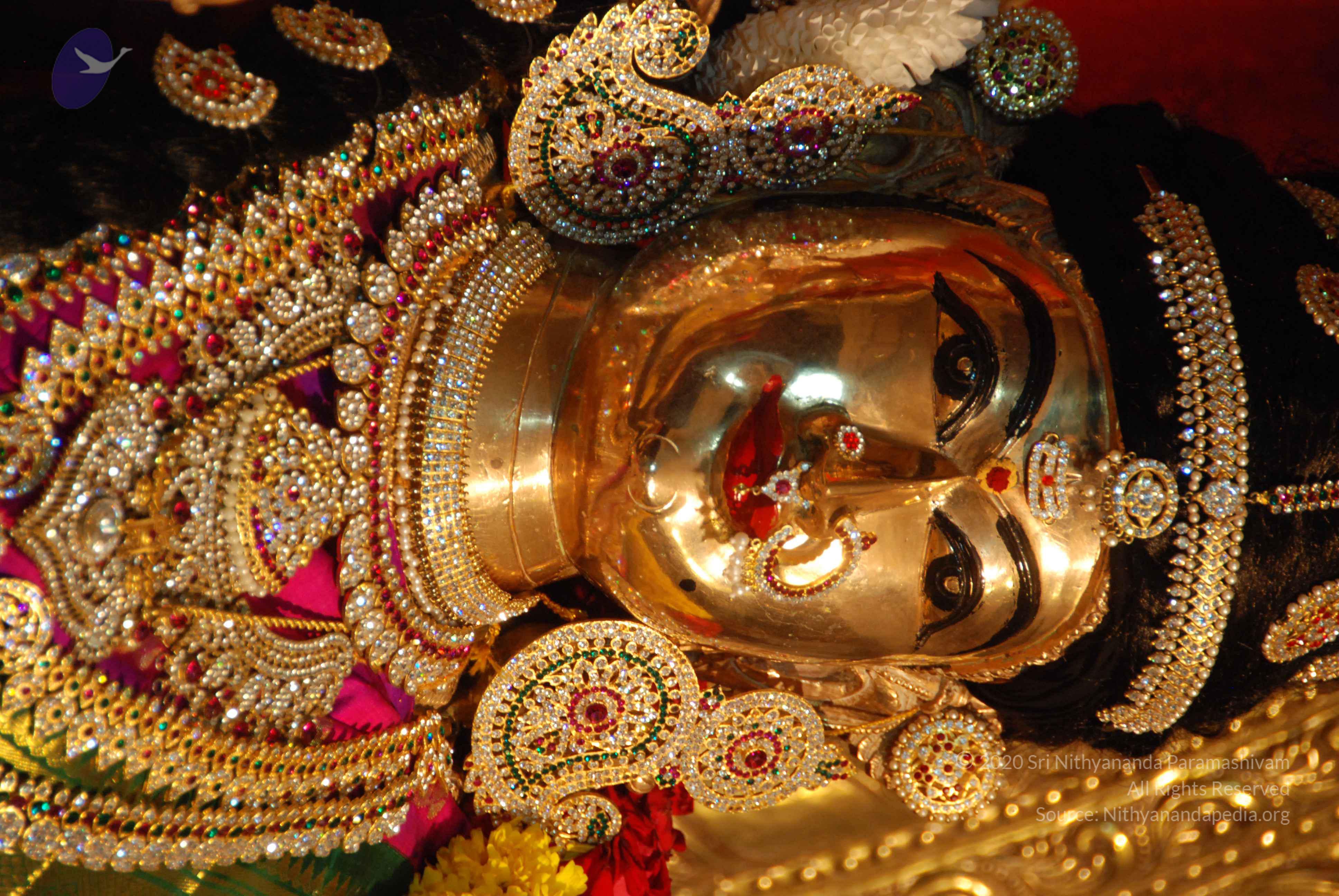 20170720_Photo_1070_DSC_4616_CMP_WM