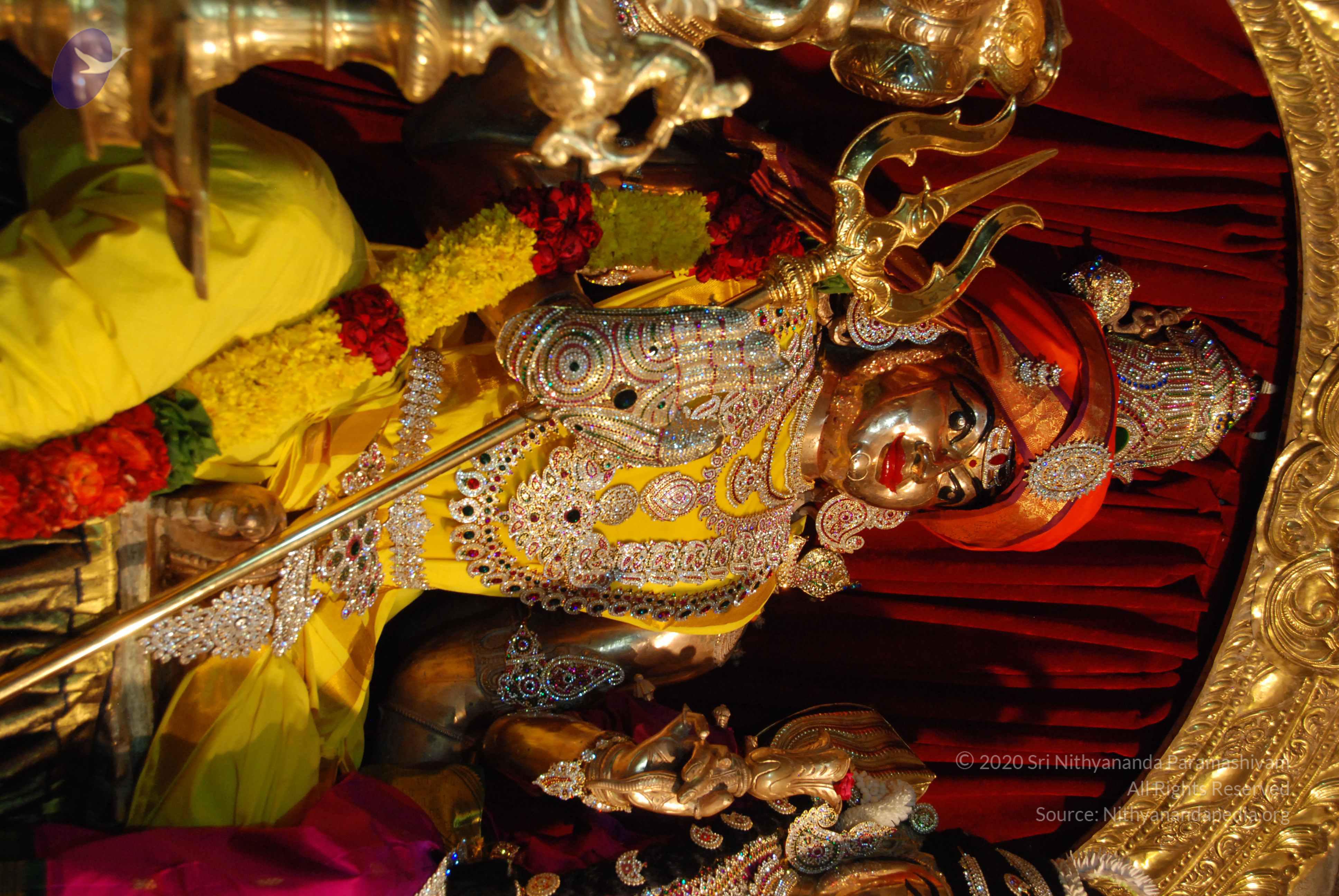 20170720_Photo_1071_DSC_4621_CMP_WM